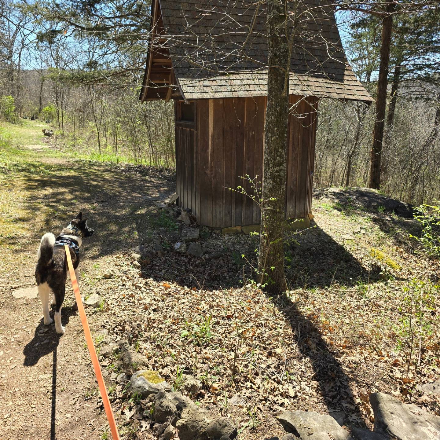 Clean and safe outhouse