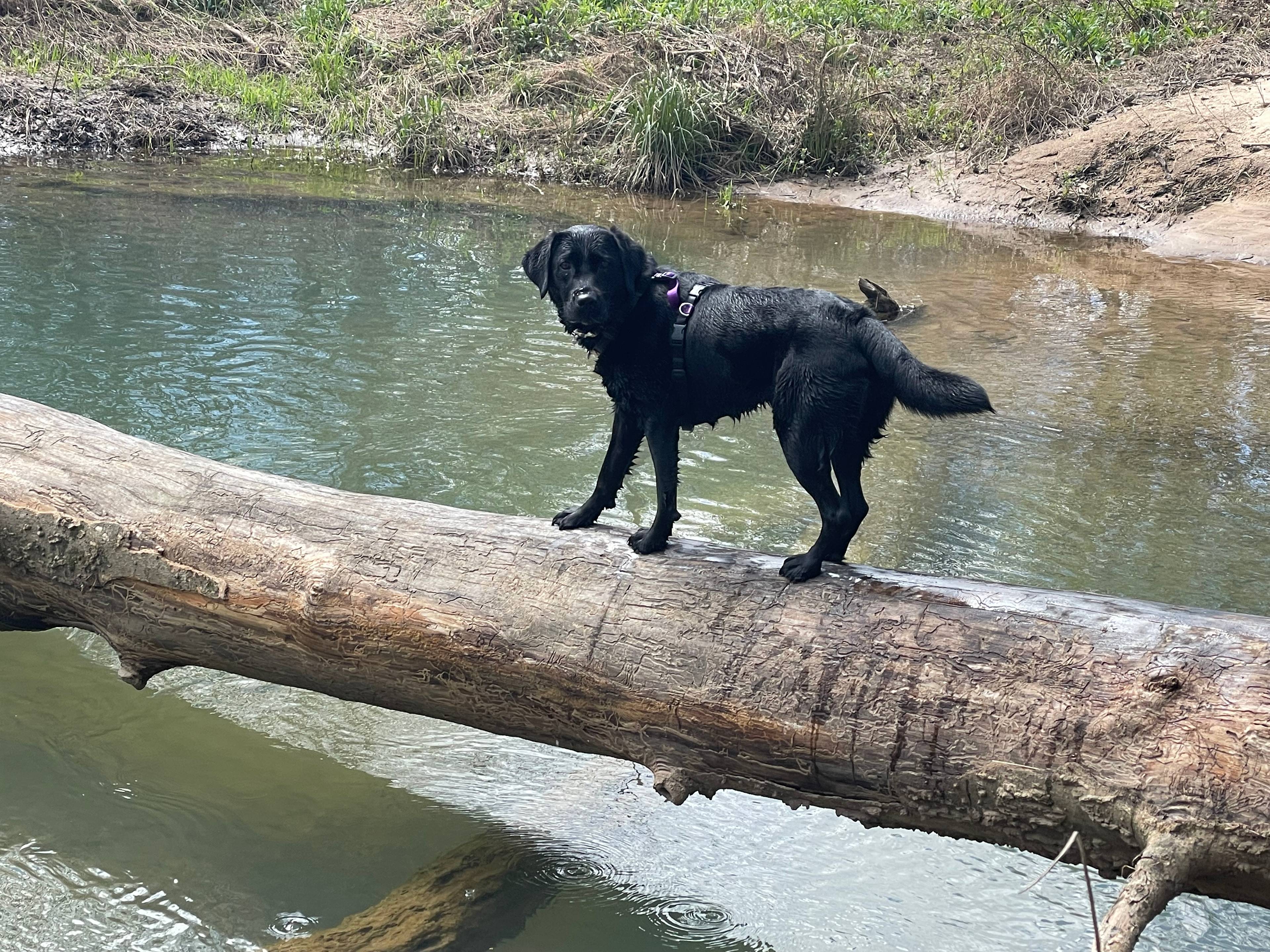 On the Creek Retreat