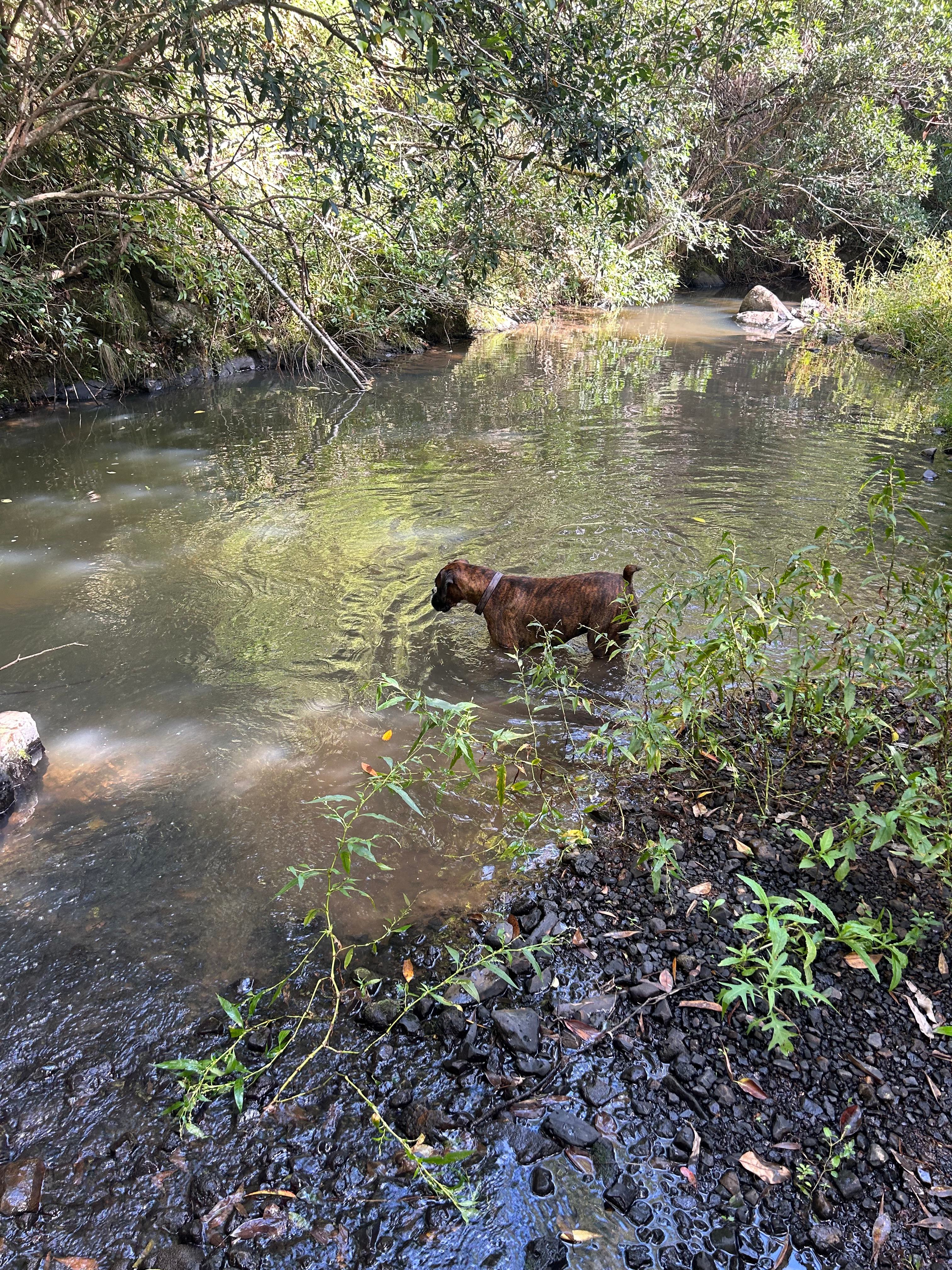 Little Plain Hall Grounds
