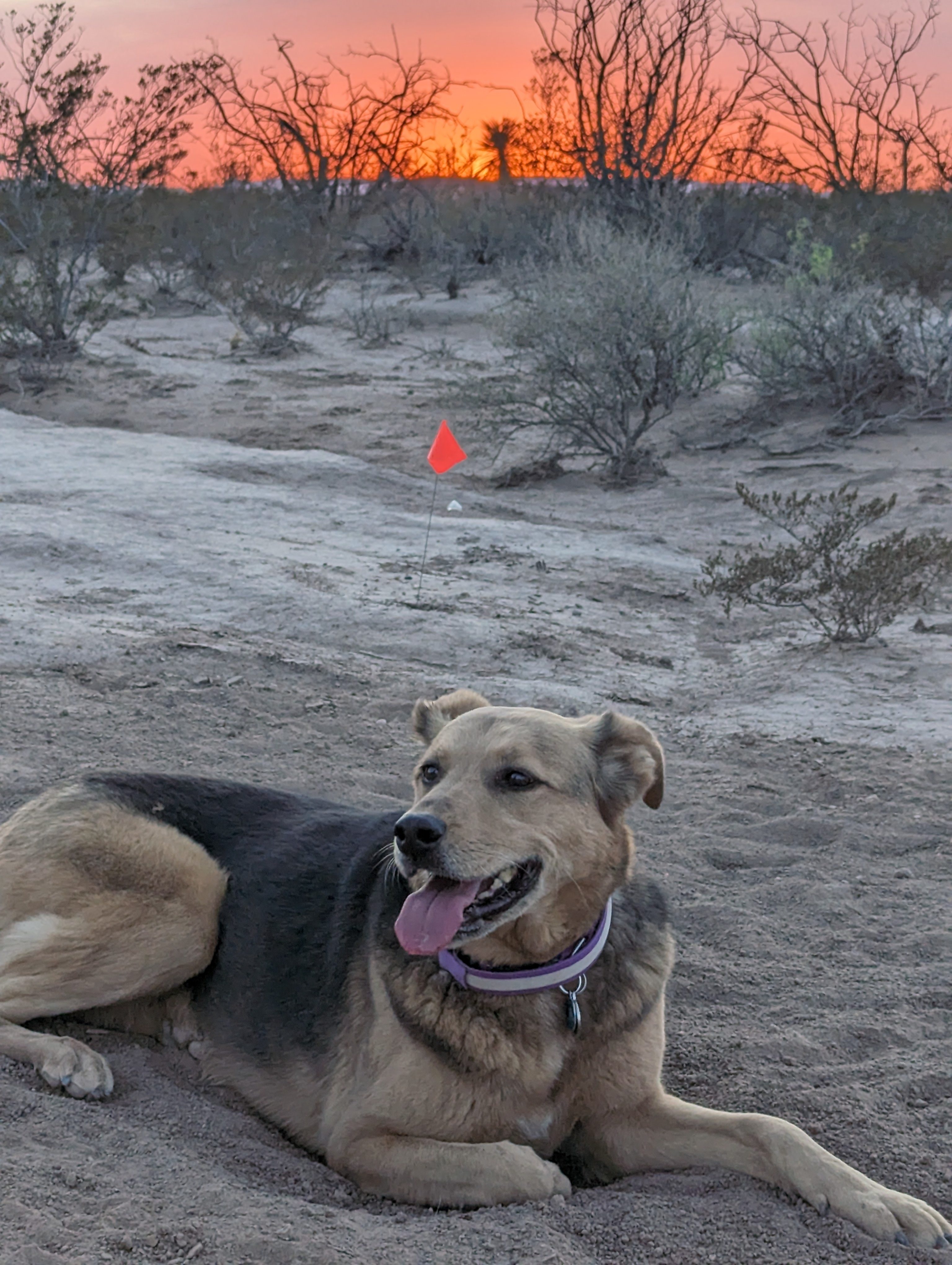 Apache Park and Trail