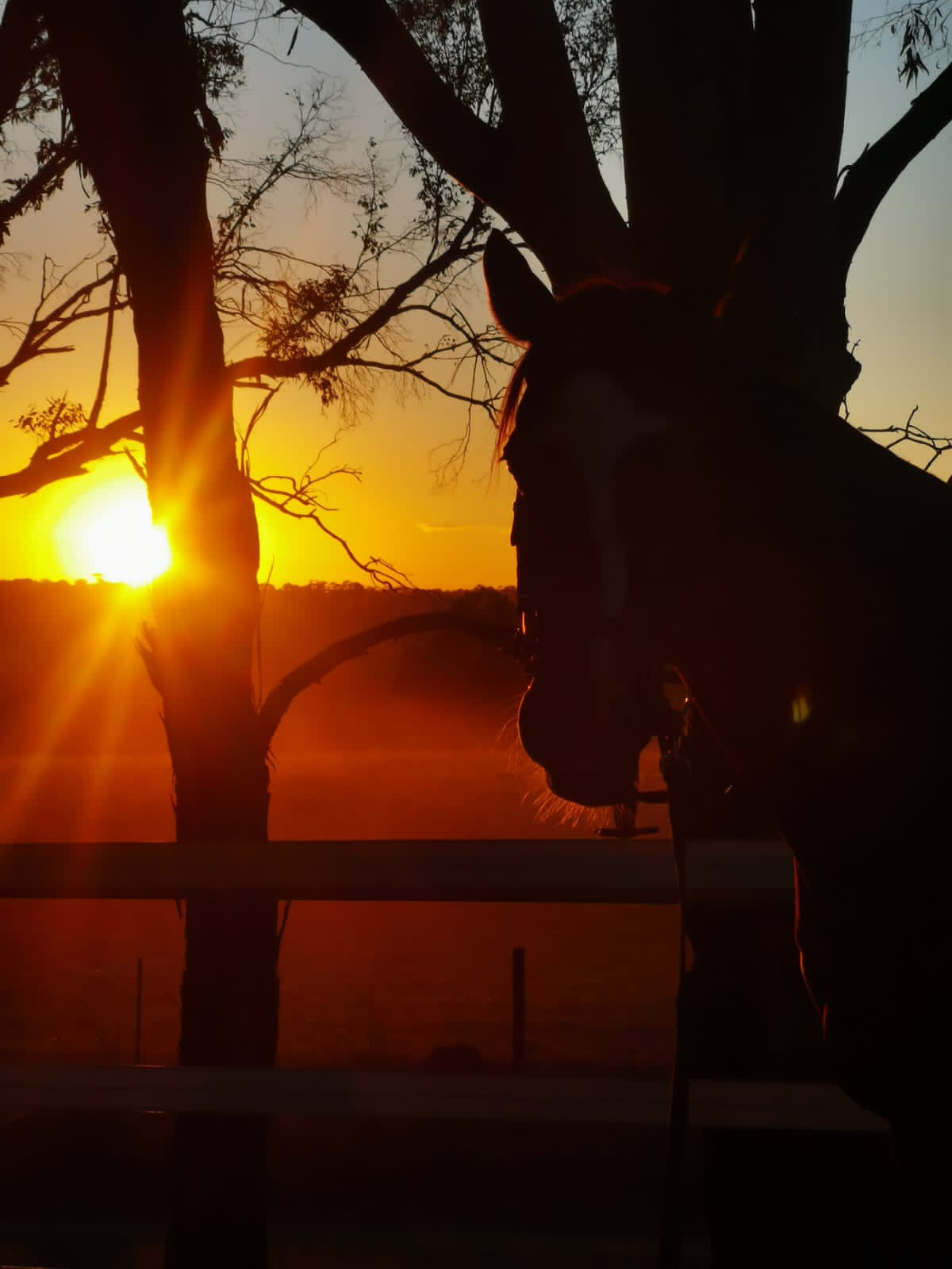 Hallmark Farm Equine Retreat