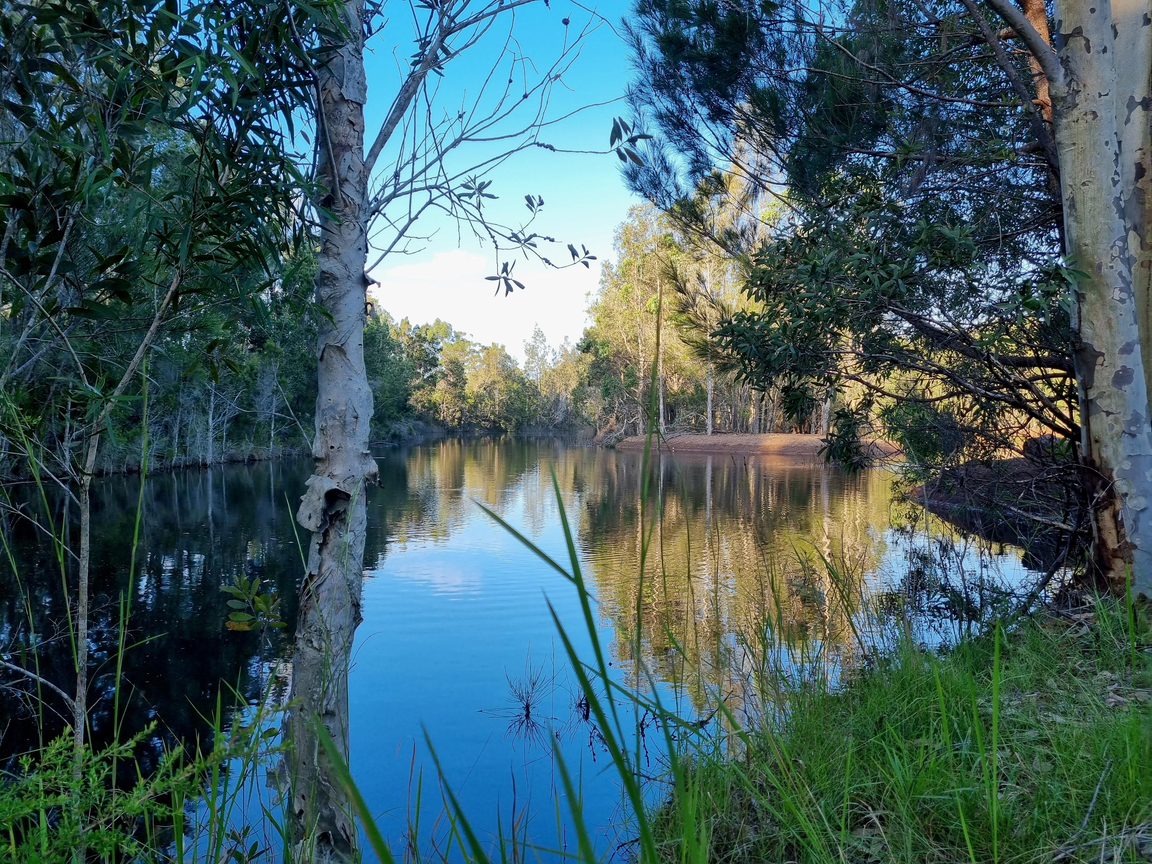 Diamond Park Campsite