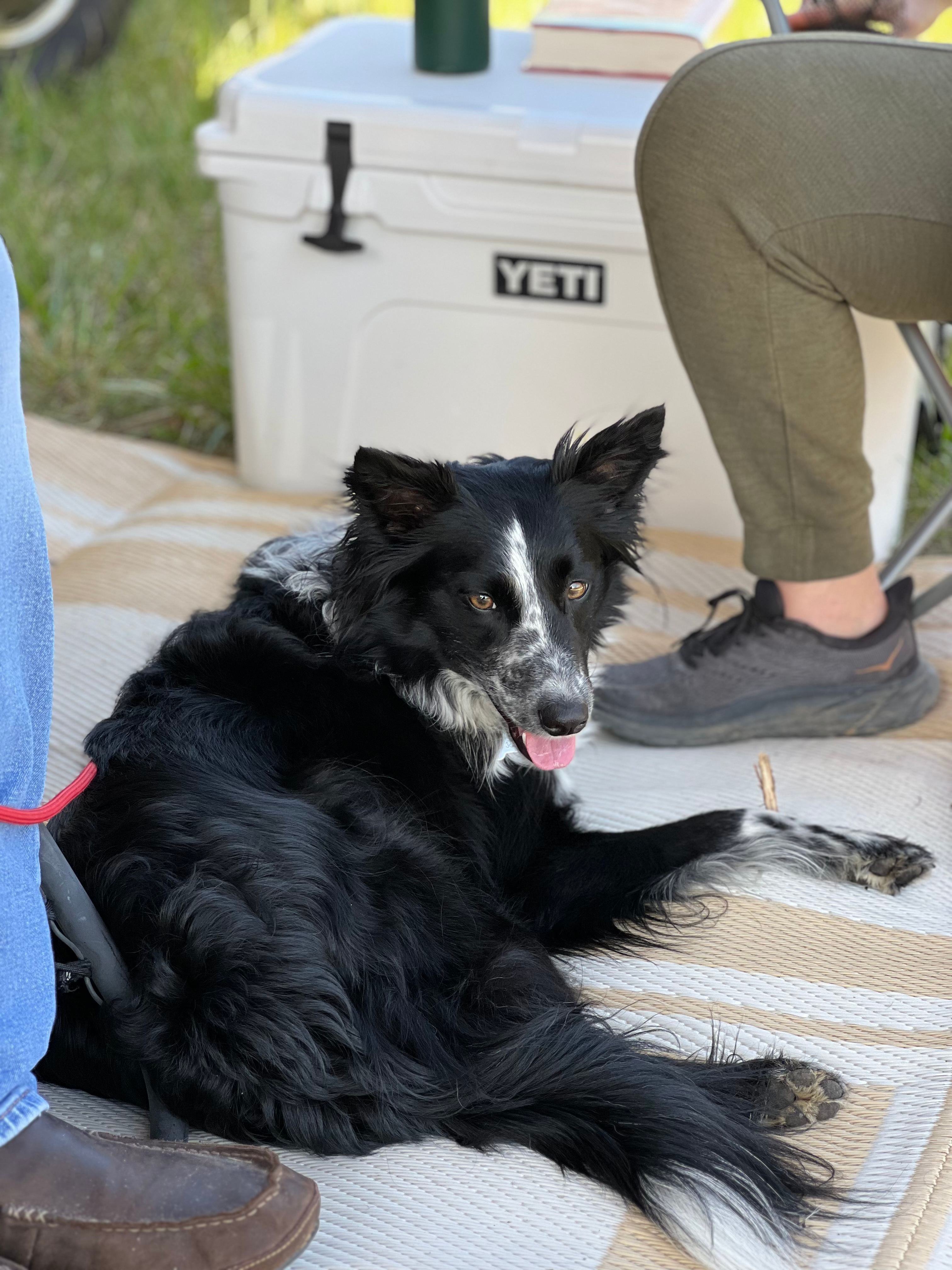 Hicks Haven Campsite