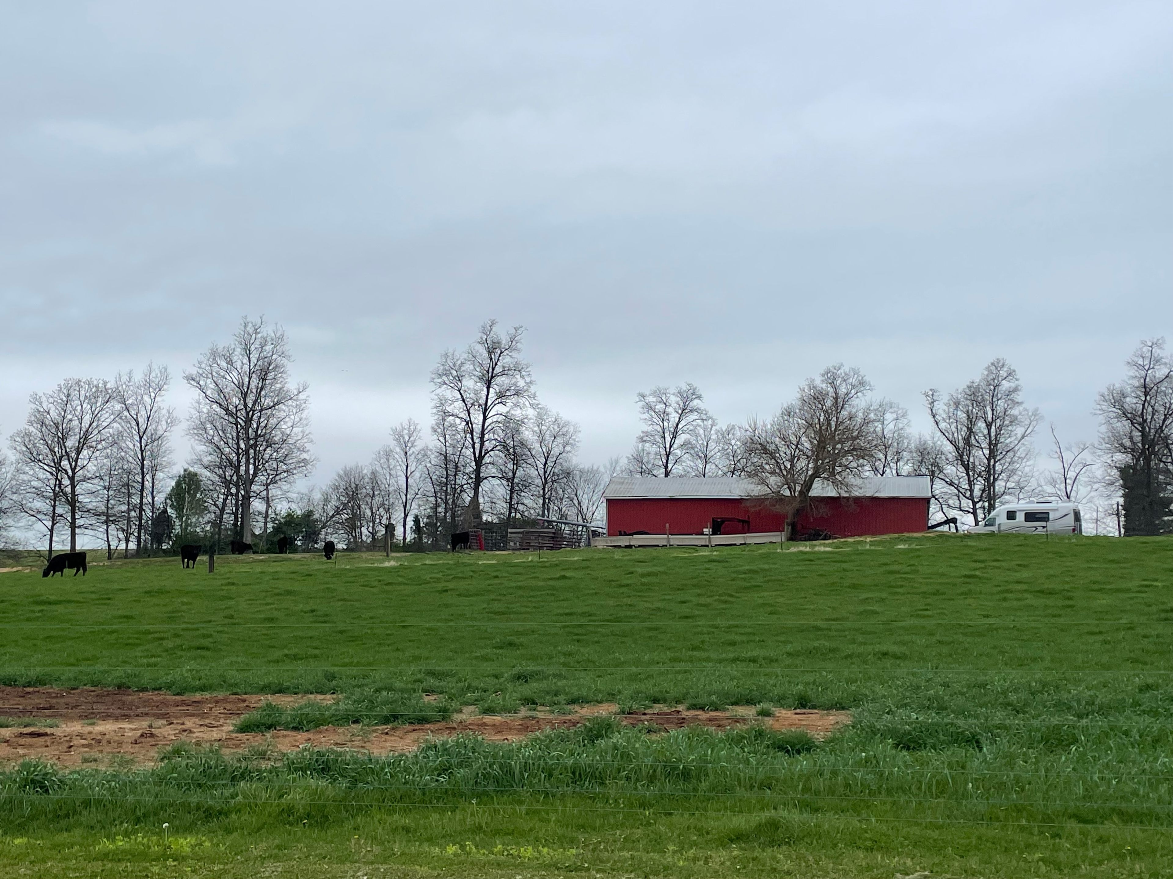 View of our site from the field
