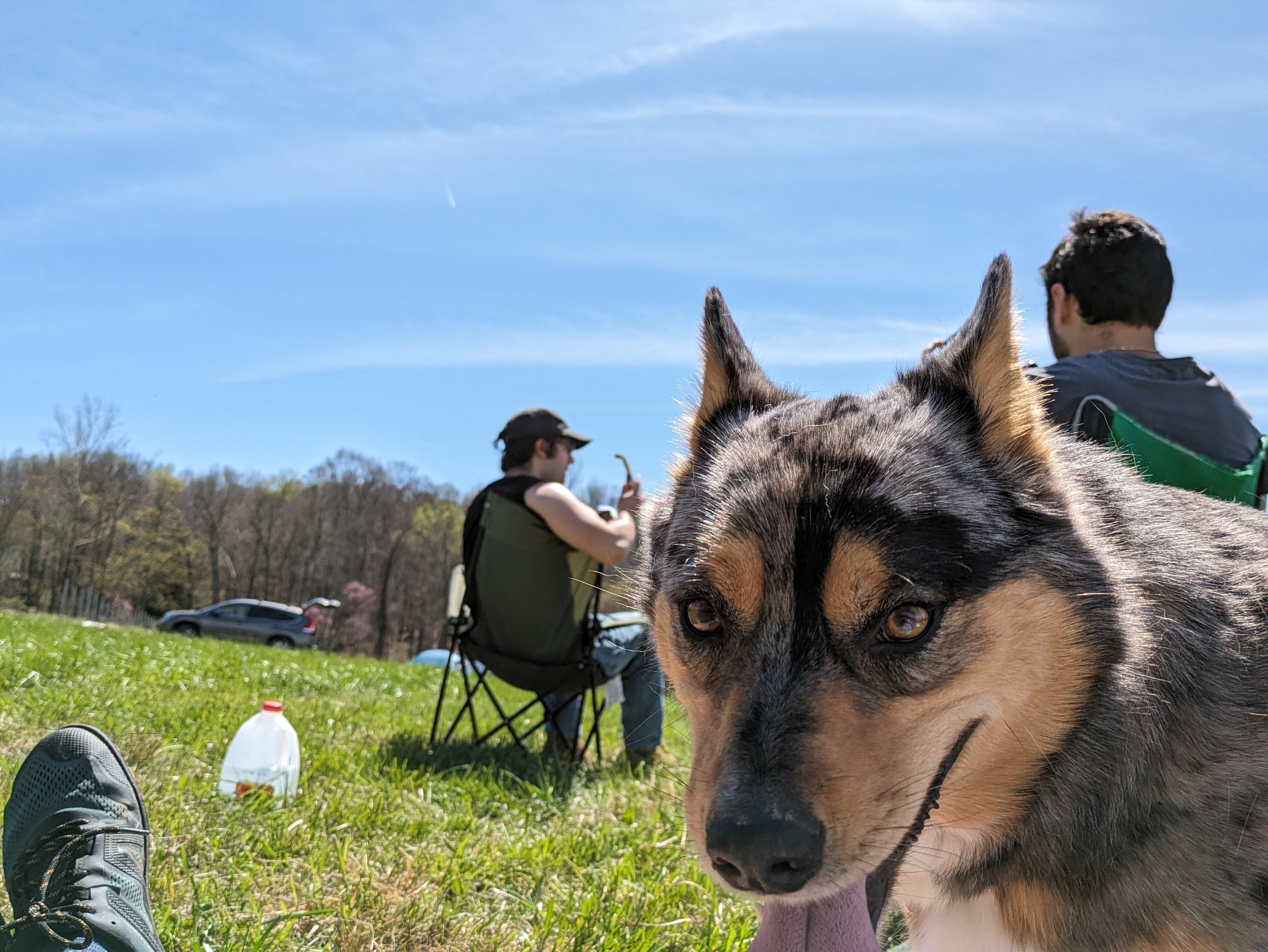 The Timbercrest Ranch
