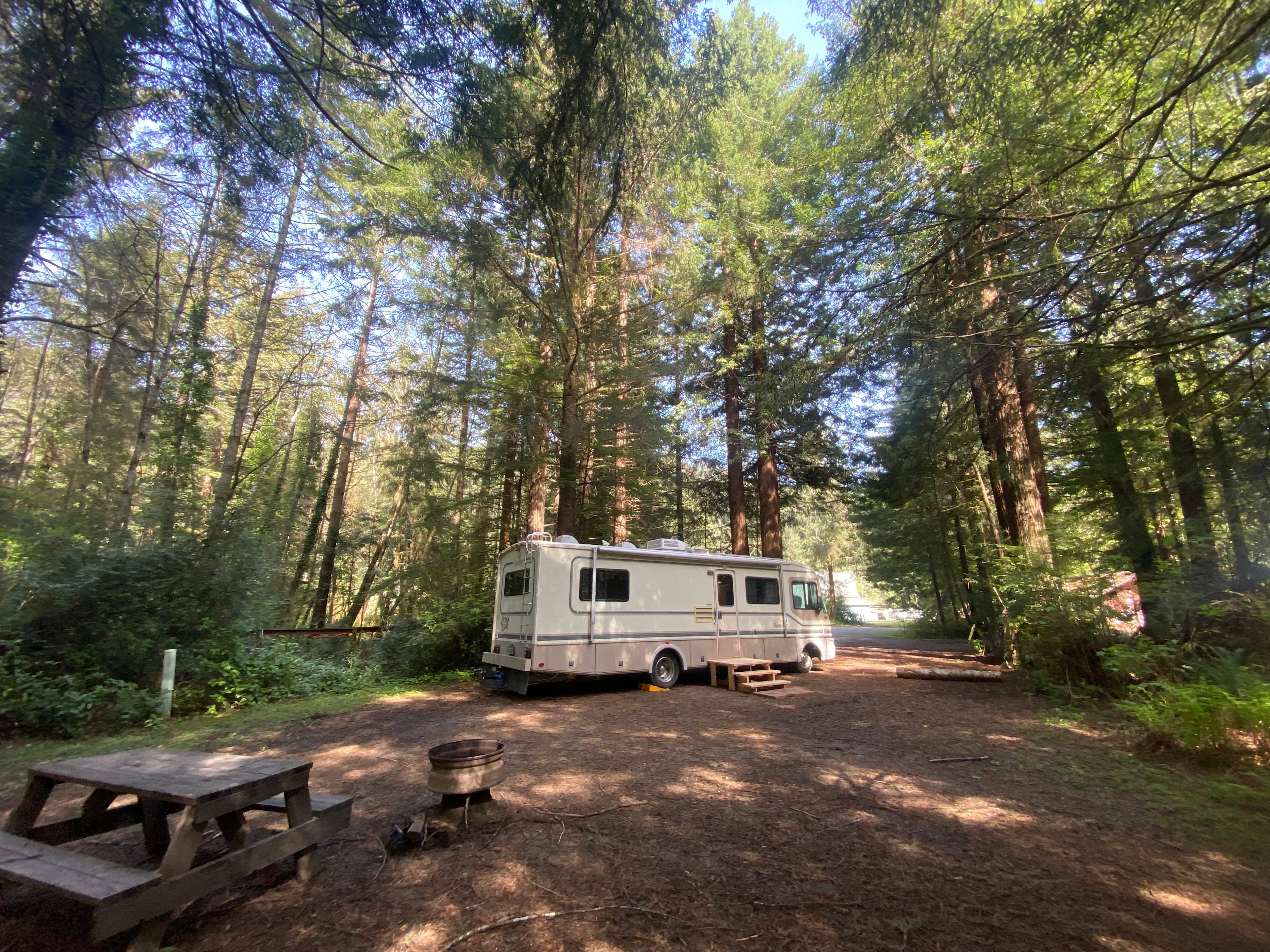 Mystic Forest Campground