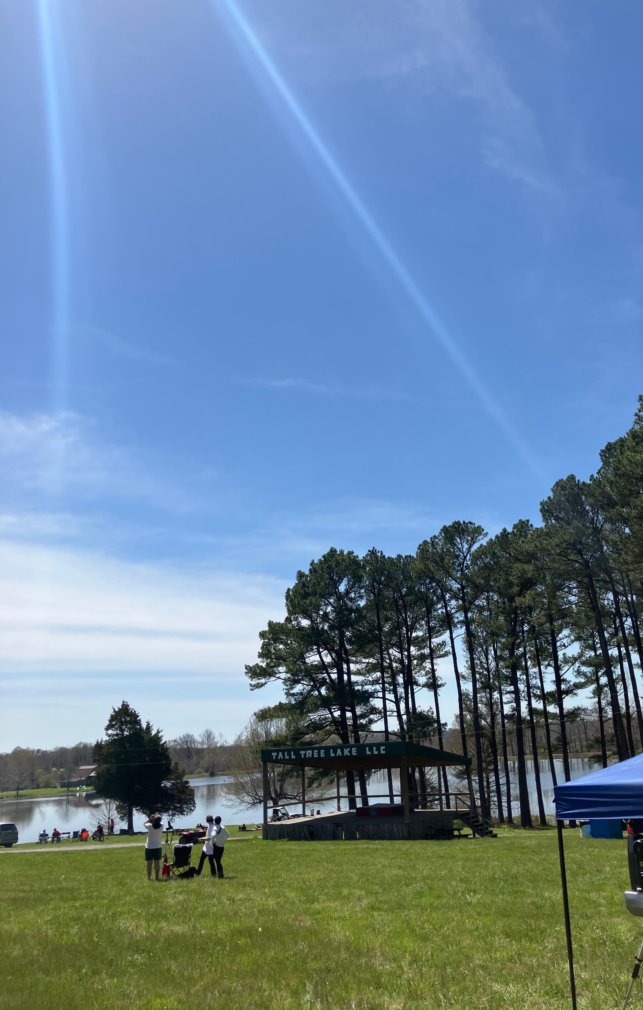 Tall Tree Lake