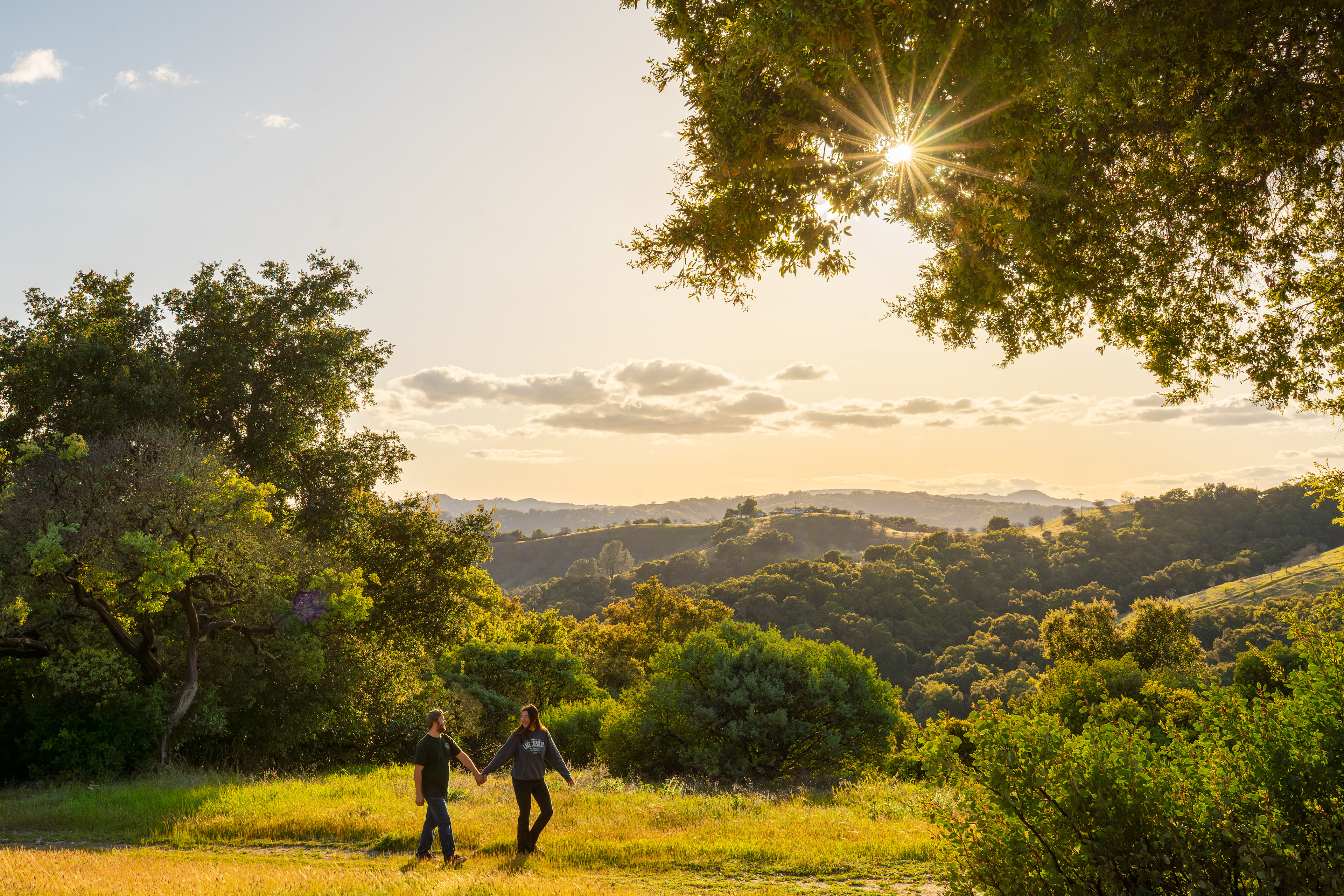 Romantic views of the vineyards and hills