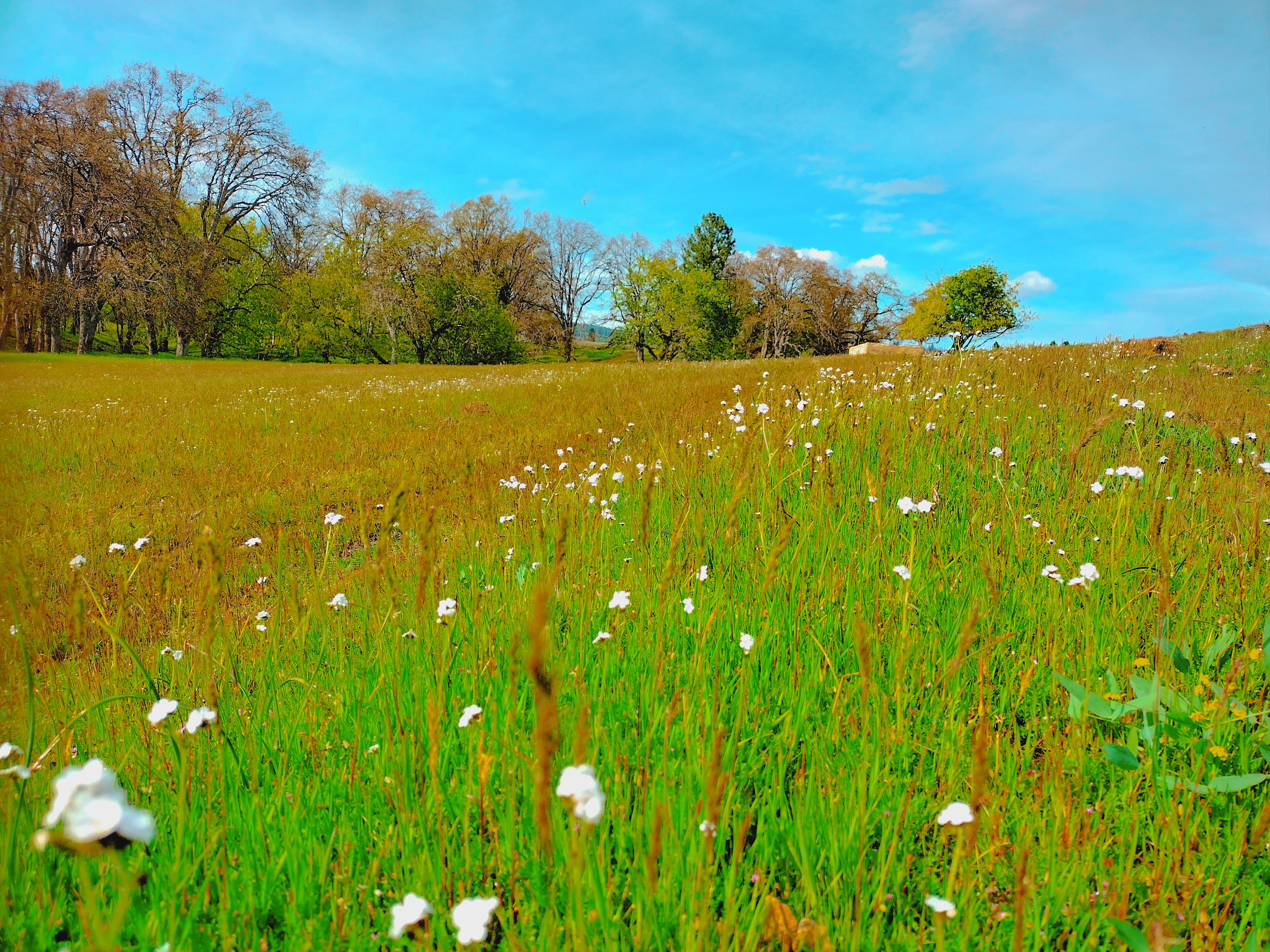Harvest Haven Campground