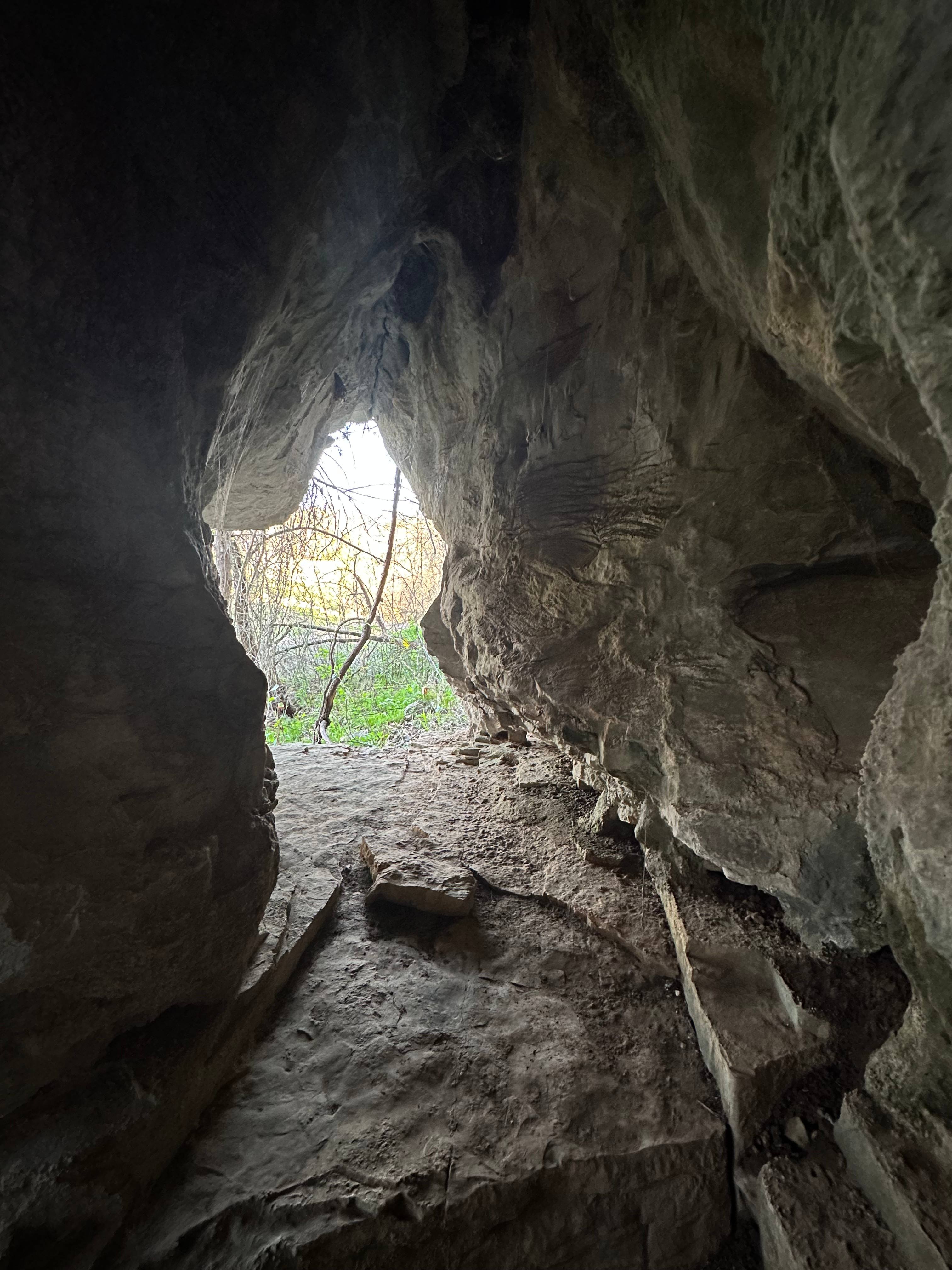 lightning Bug Hideaway