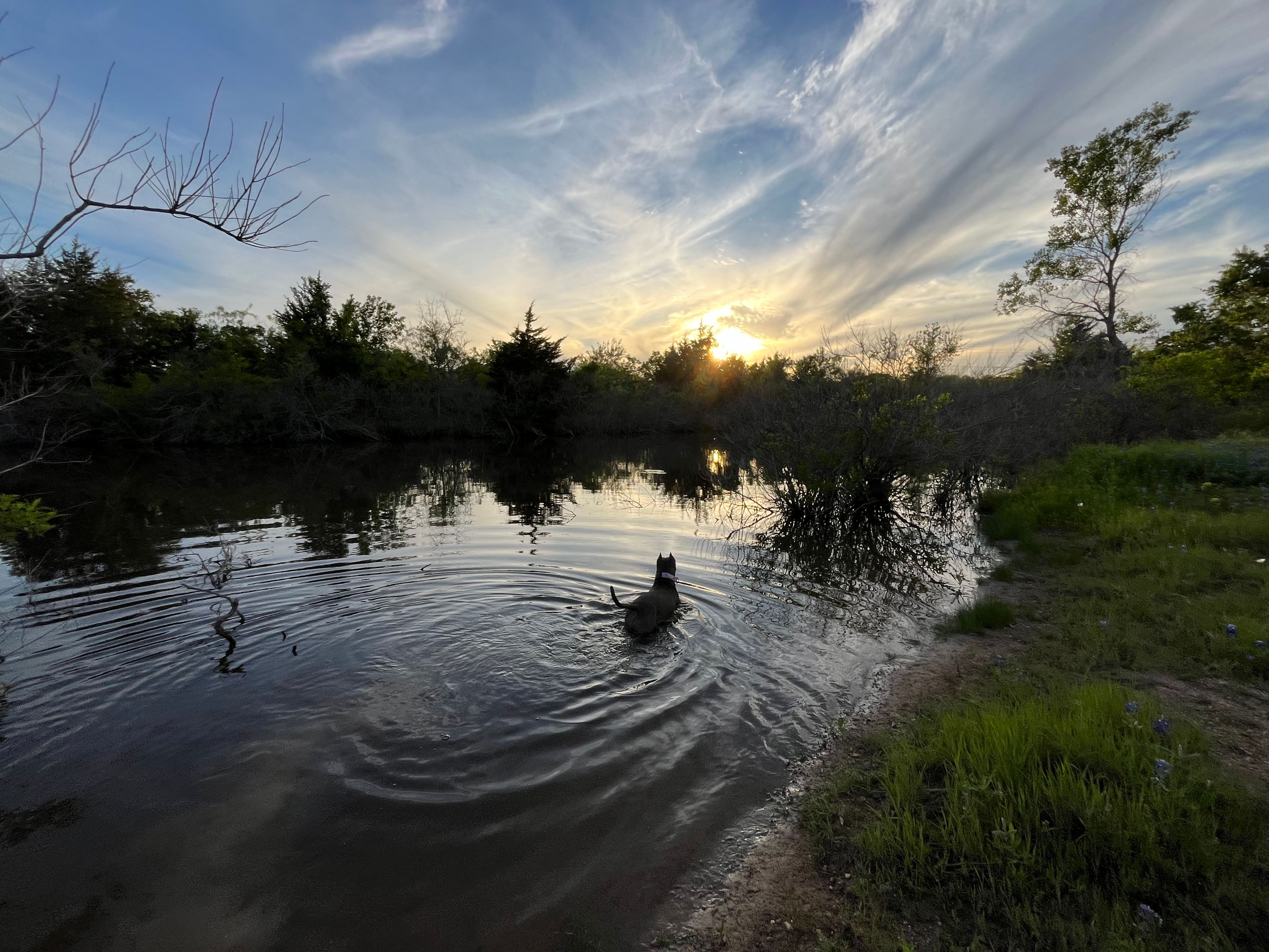 Sunrise Valley Campground and Hike