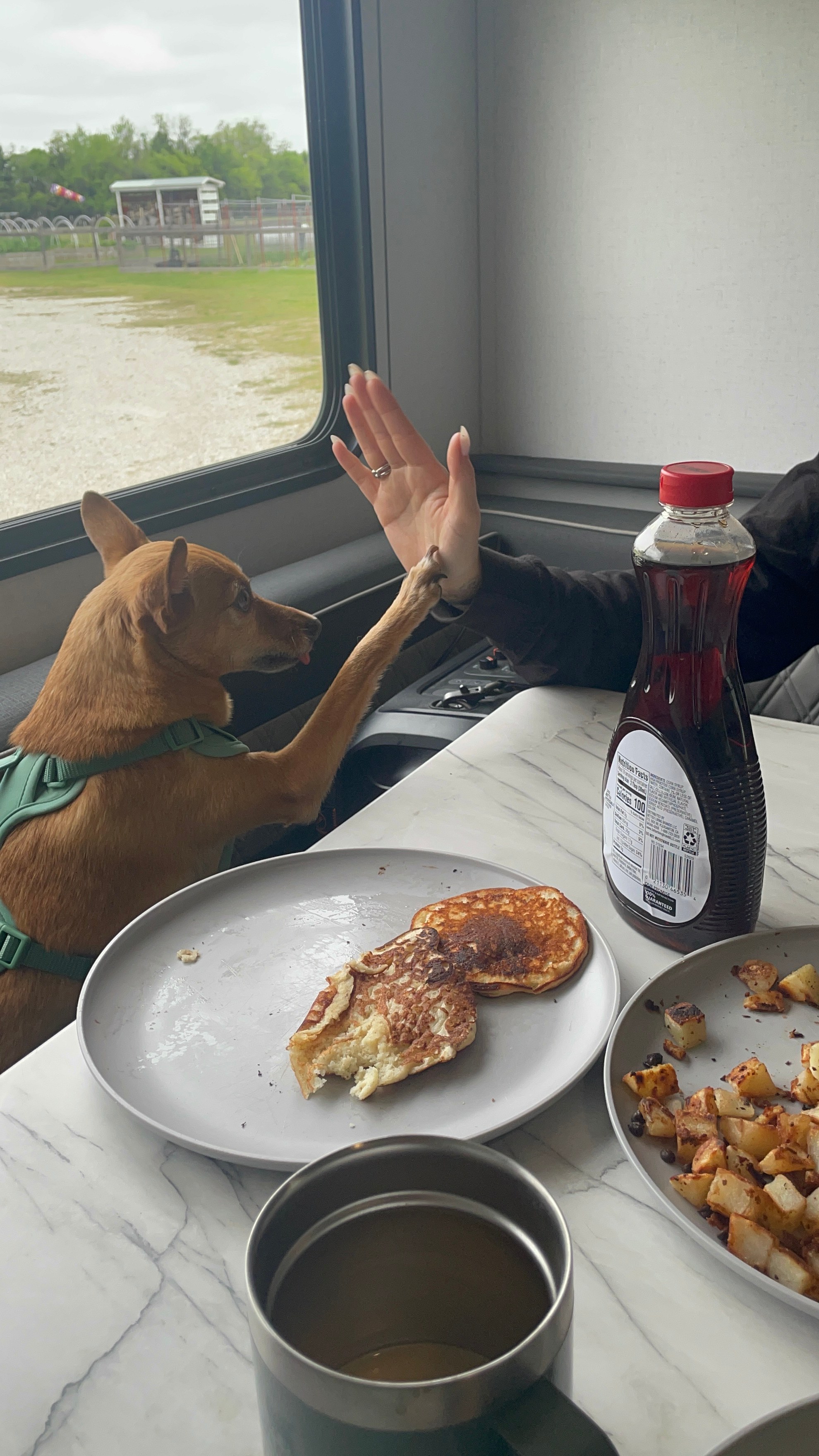 Butters approved apparently