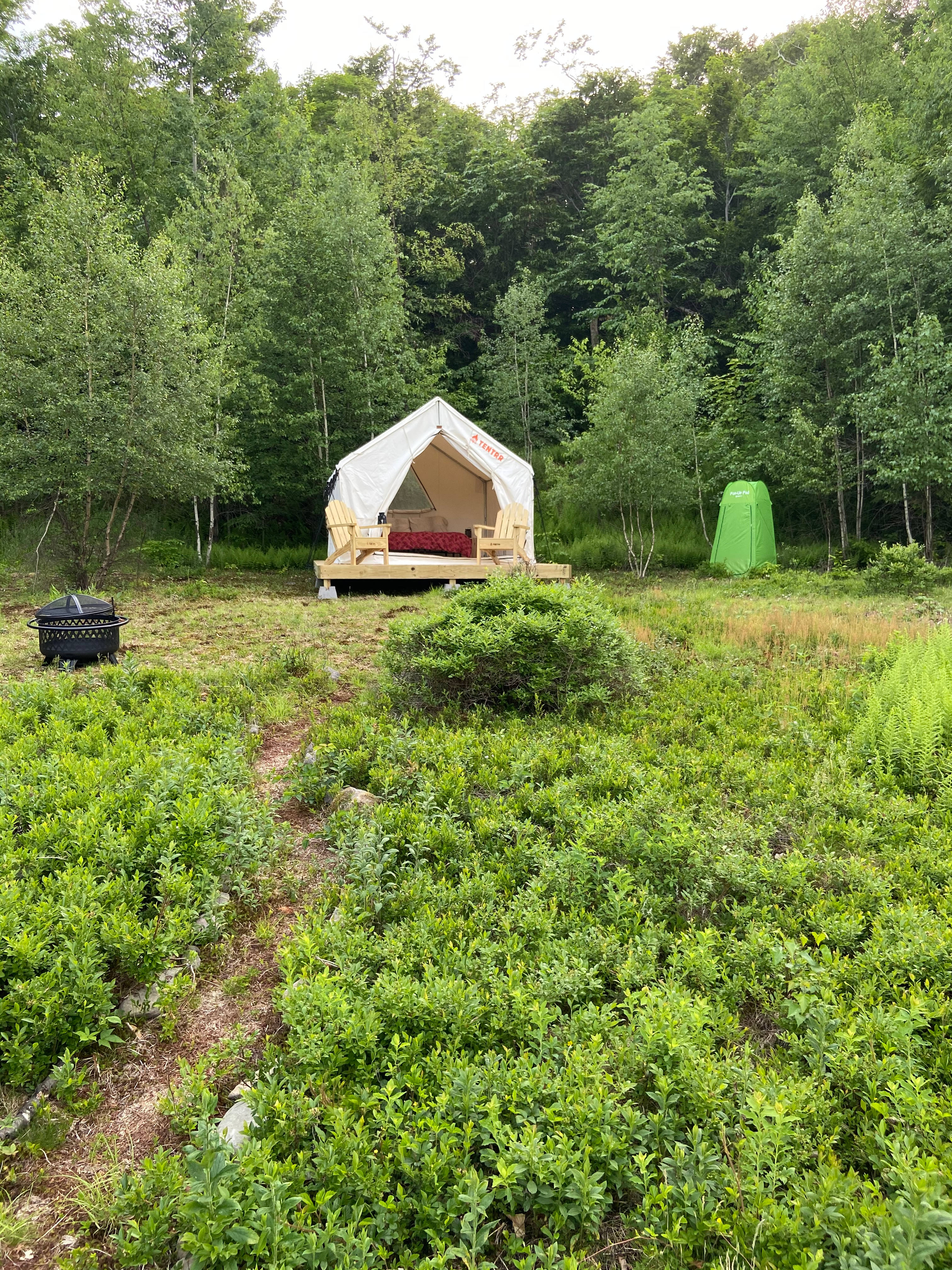Sunrise Meadow Catskills
