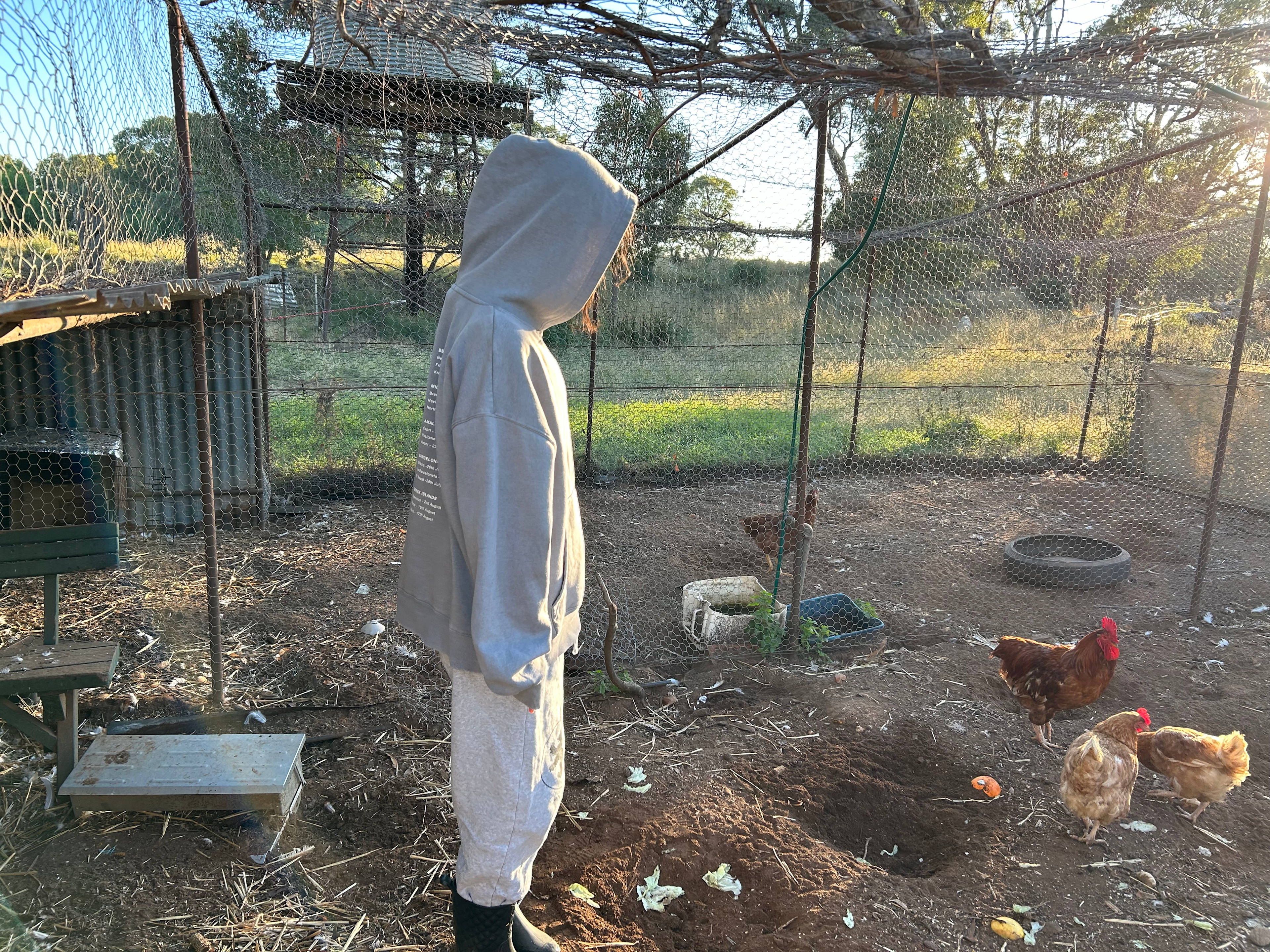 A couple of fresh eggs for breakfast