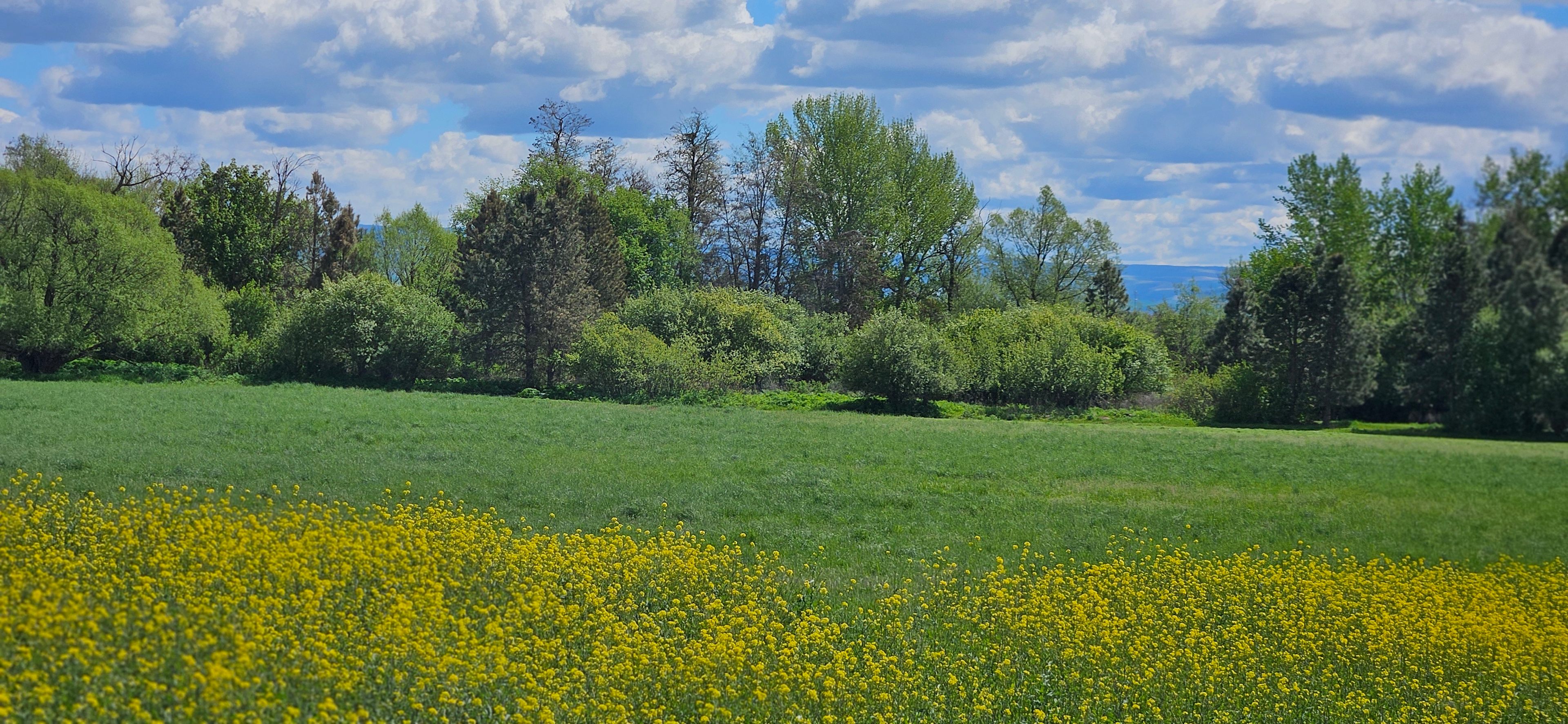 Mill Creek Farm/Park