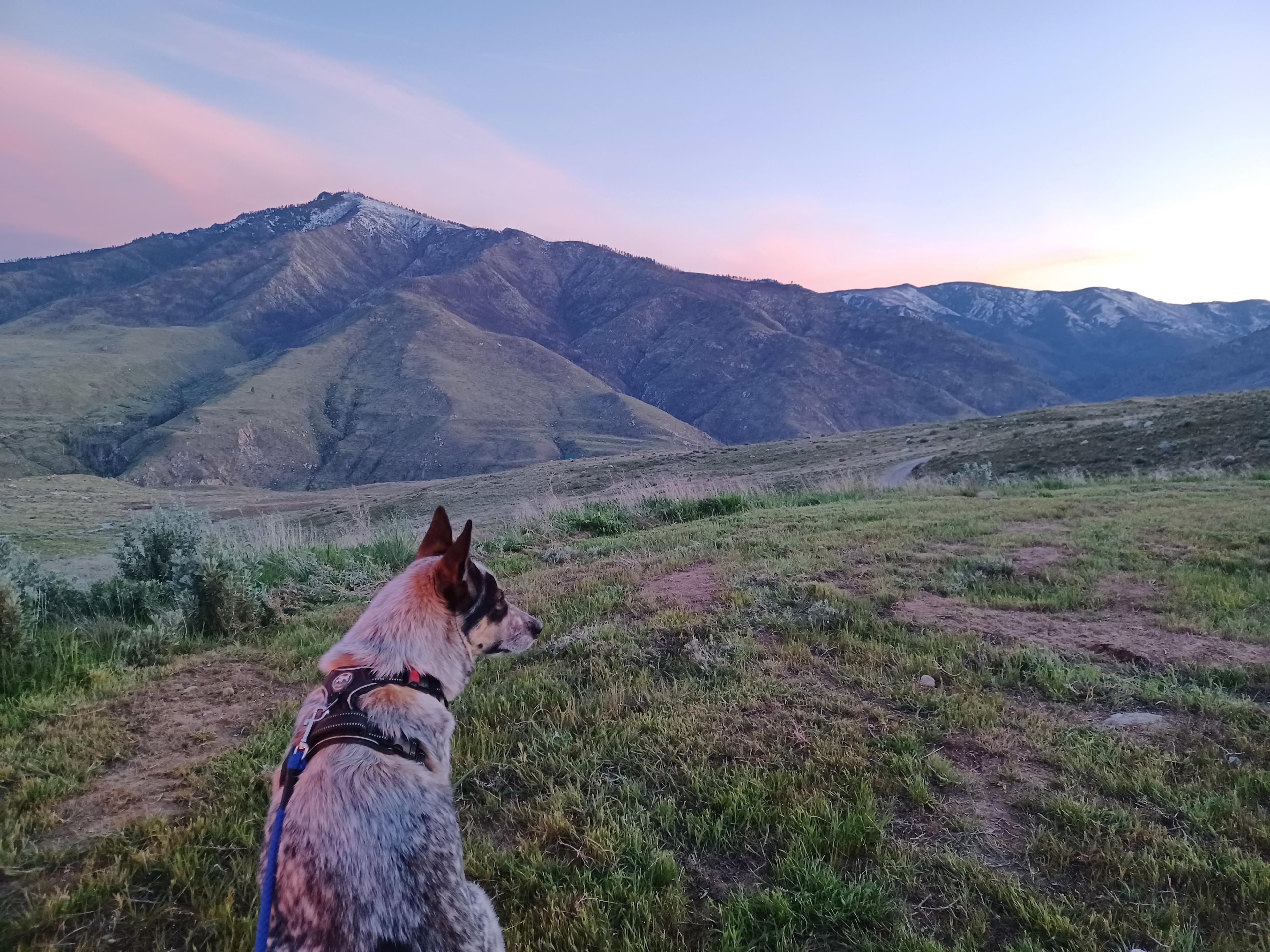 Methow Valley View Property