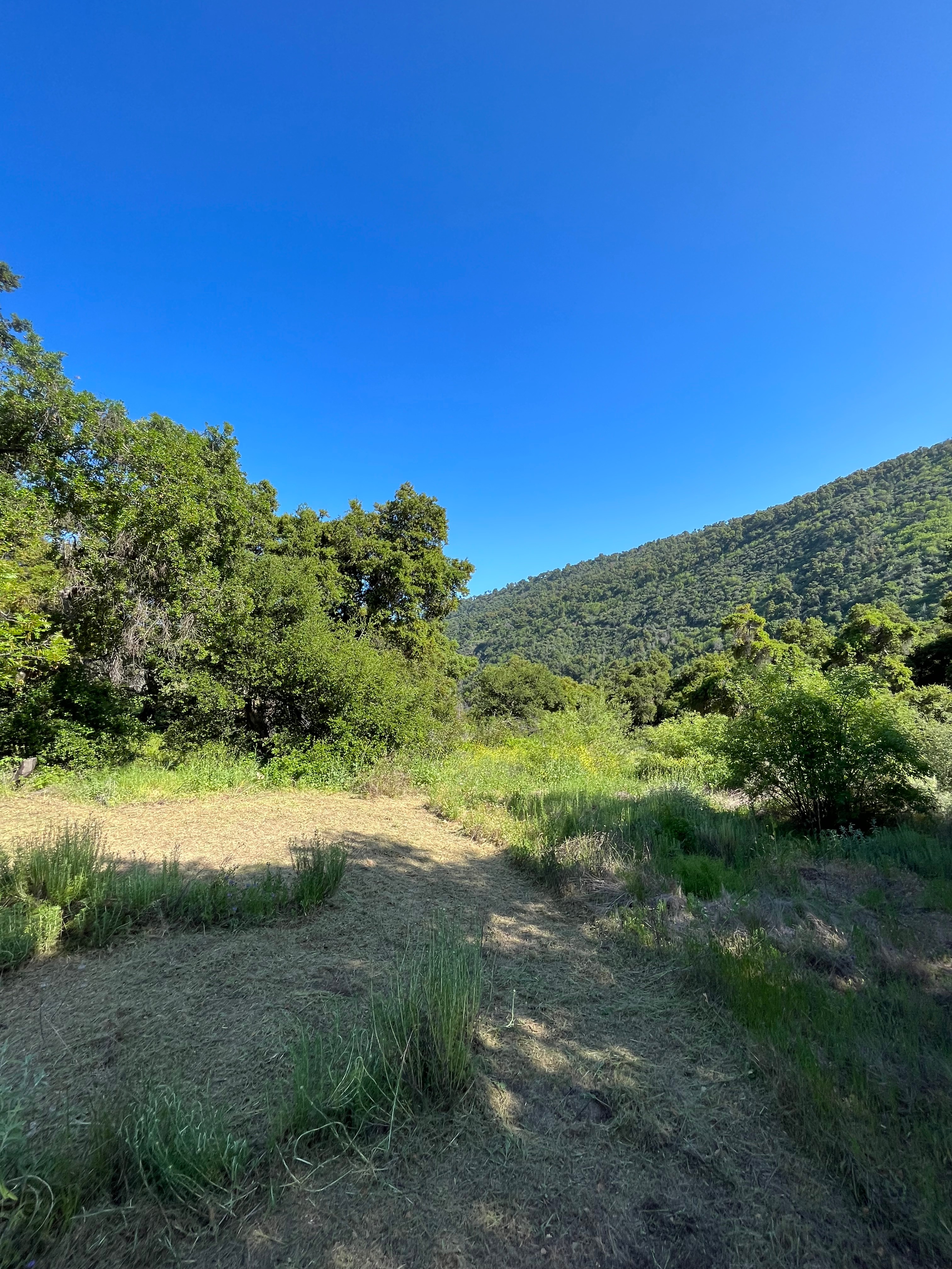 Camp RainDale