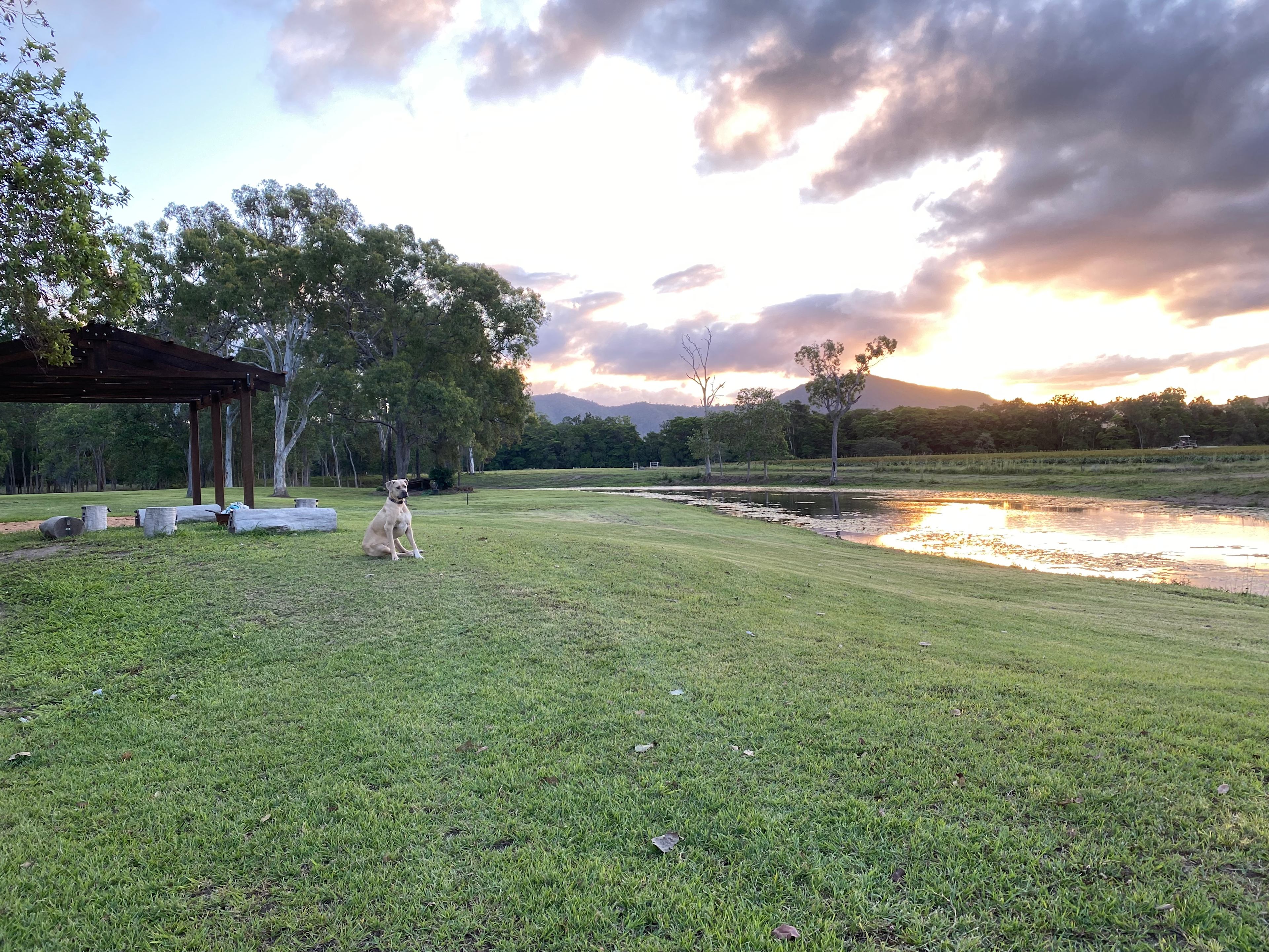 Clearacre farmstay