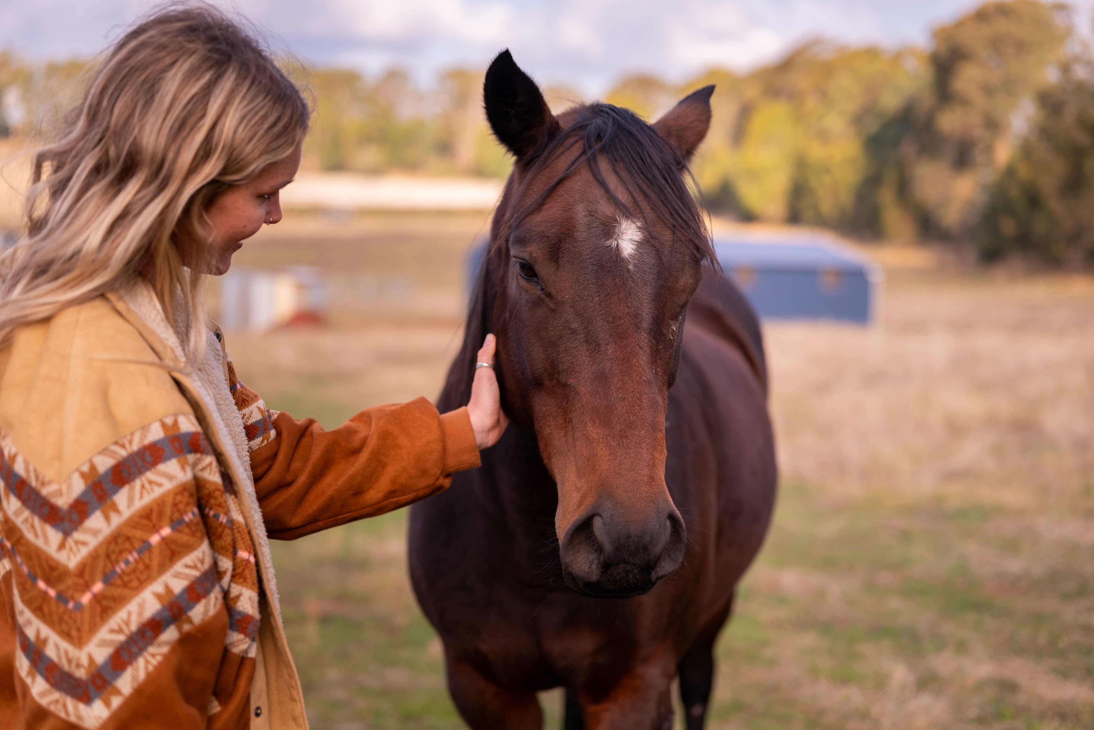 No shortage of animal life here! A few friendly horses too! 