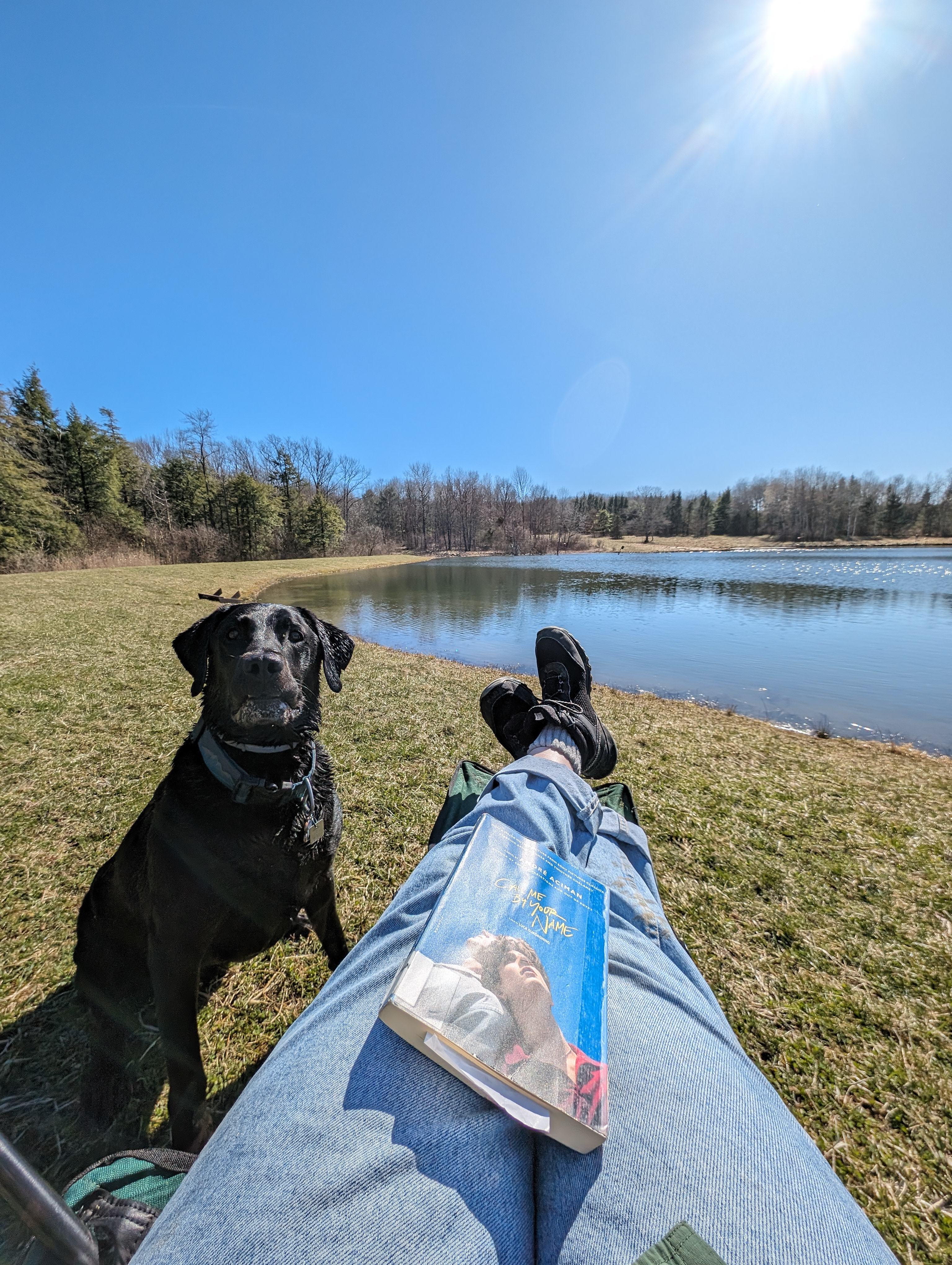 Lean-to in quiet forest