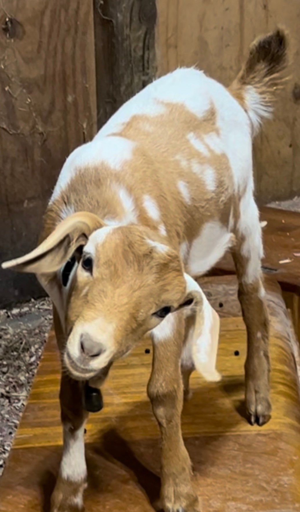 Hidden Door Farm