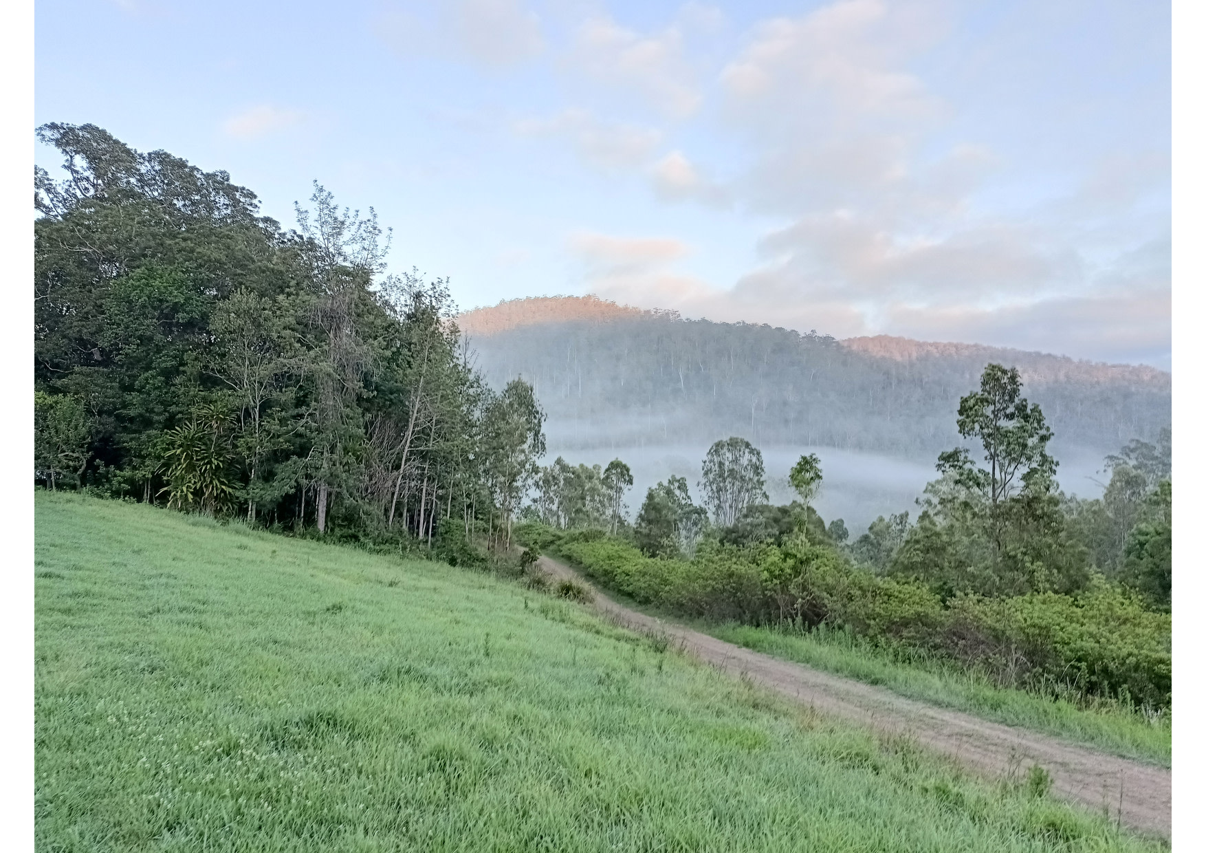 Figtree Farm at Findon Creek