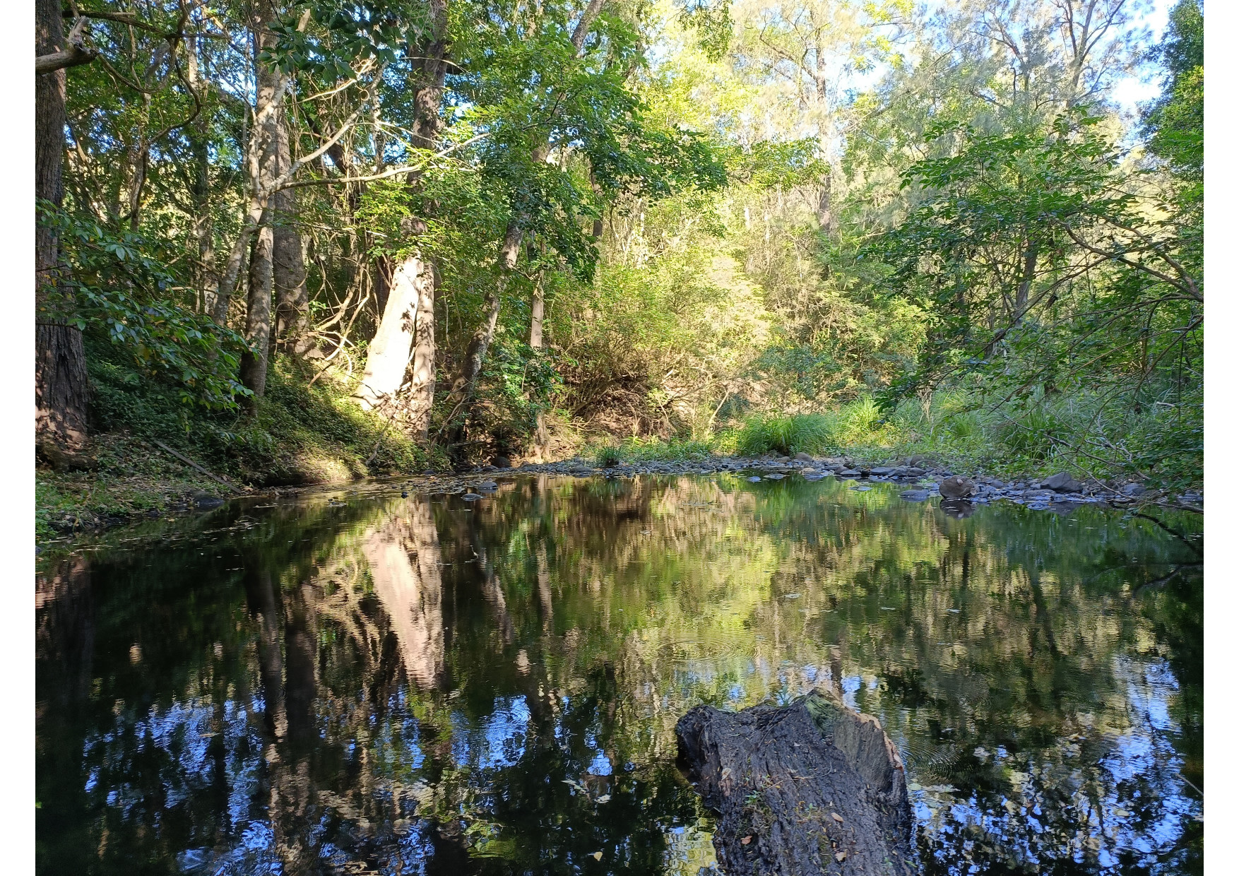Figtree Farm at Findon Creek