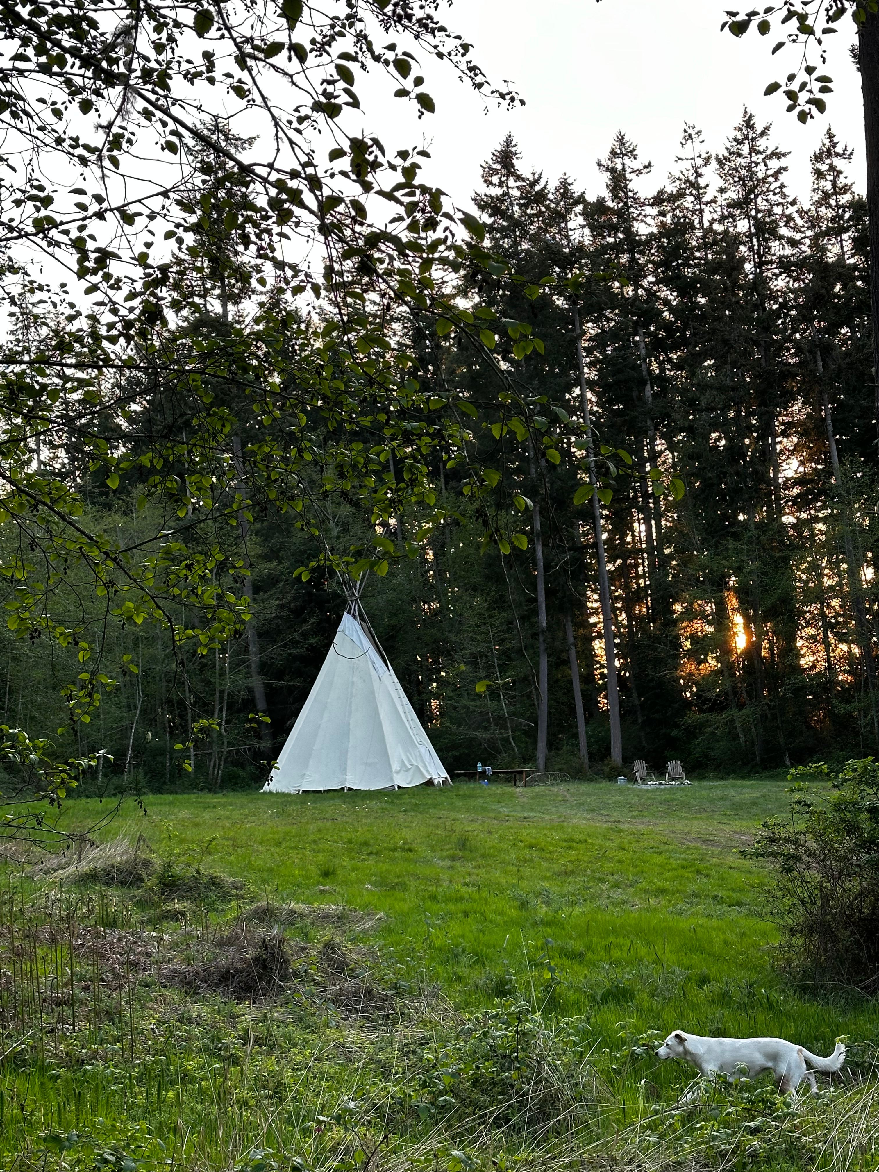 Wild Hearts on Whidbey