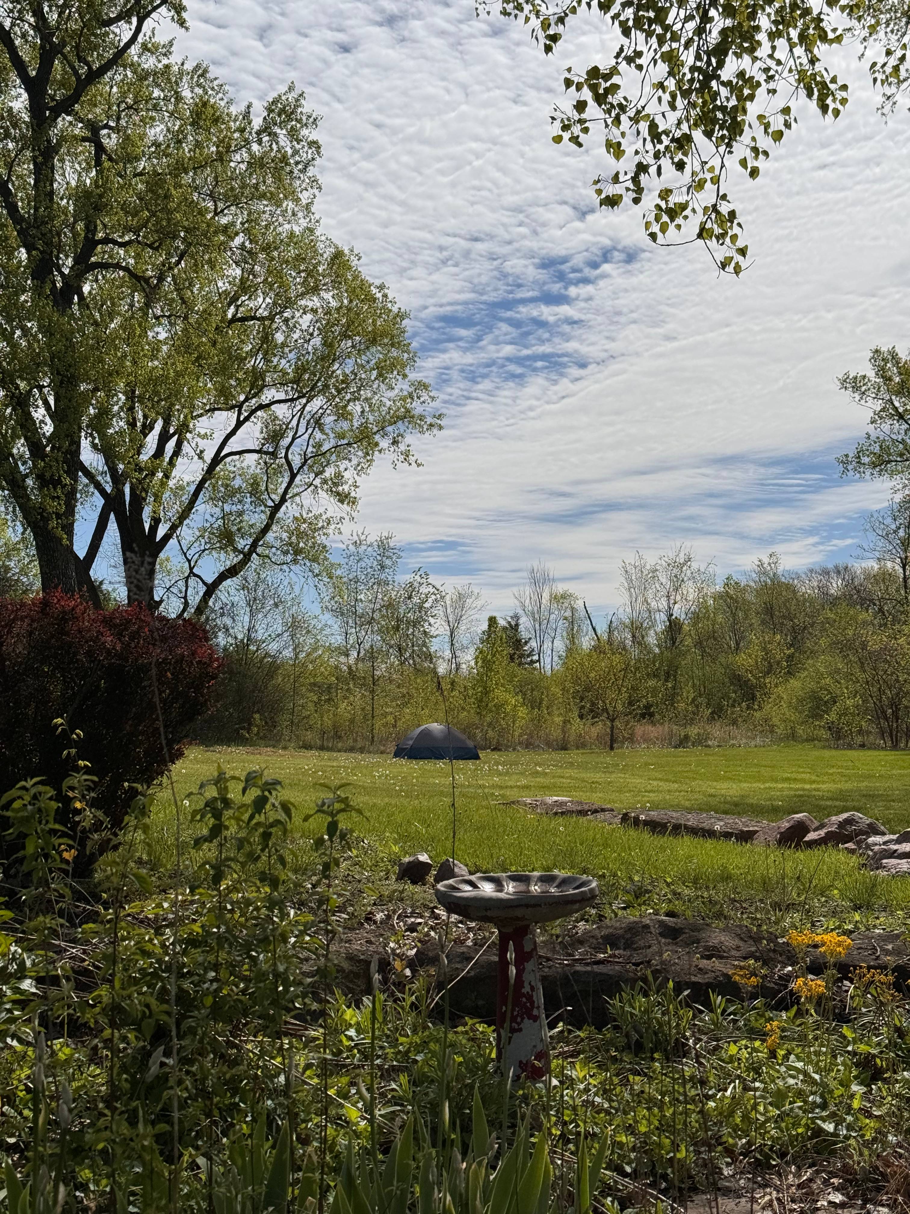 Moonlight Meadow KC