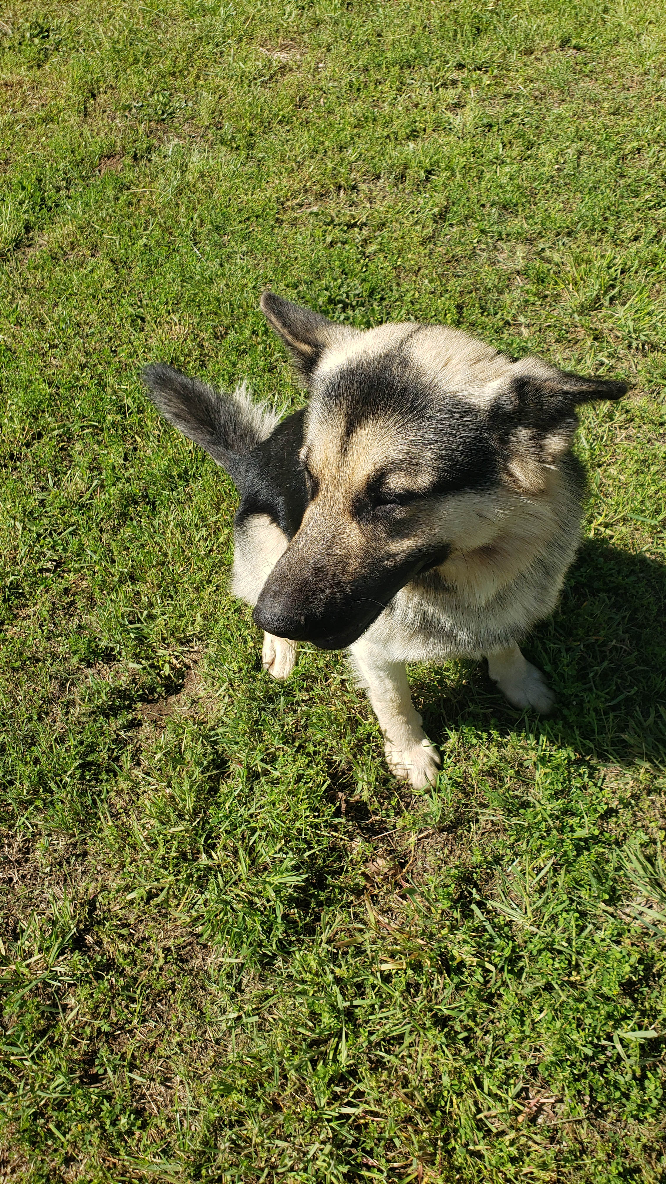 Scott Family Farm & Retreat