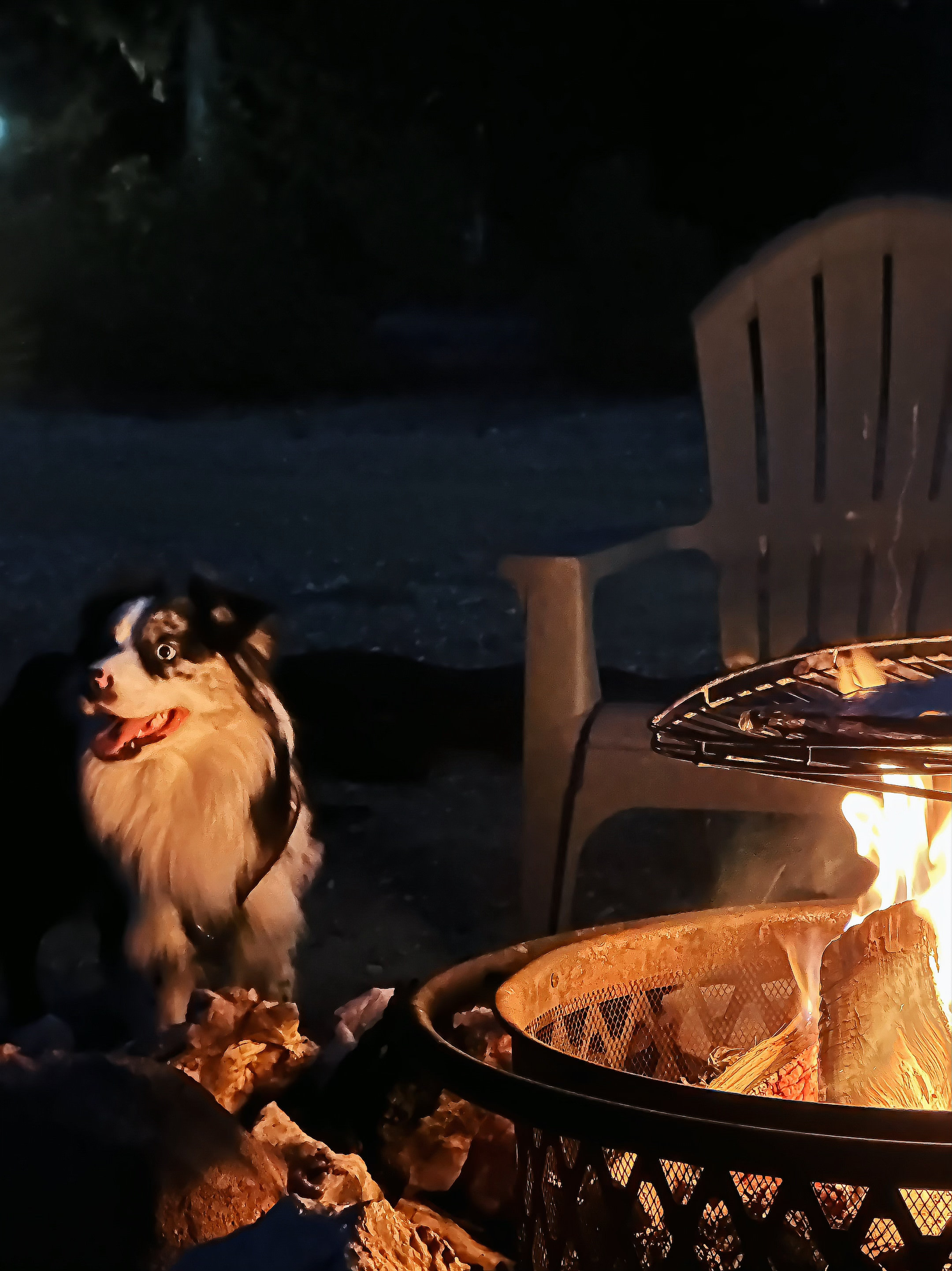 Blue Canyon Happy Place