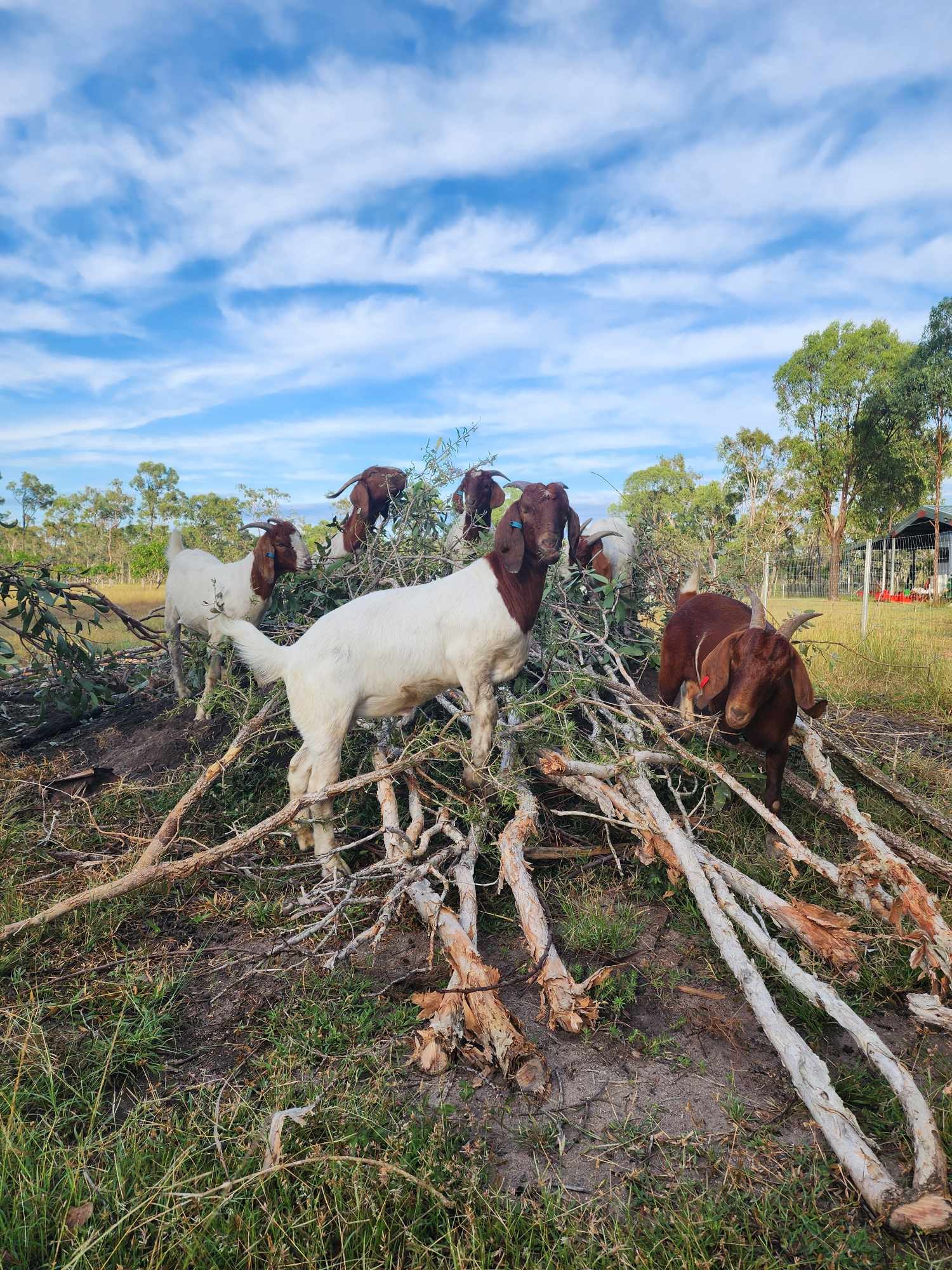 Black River Bush Retreat