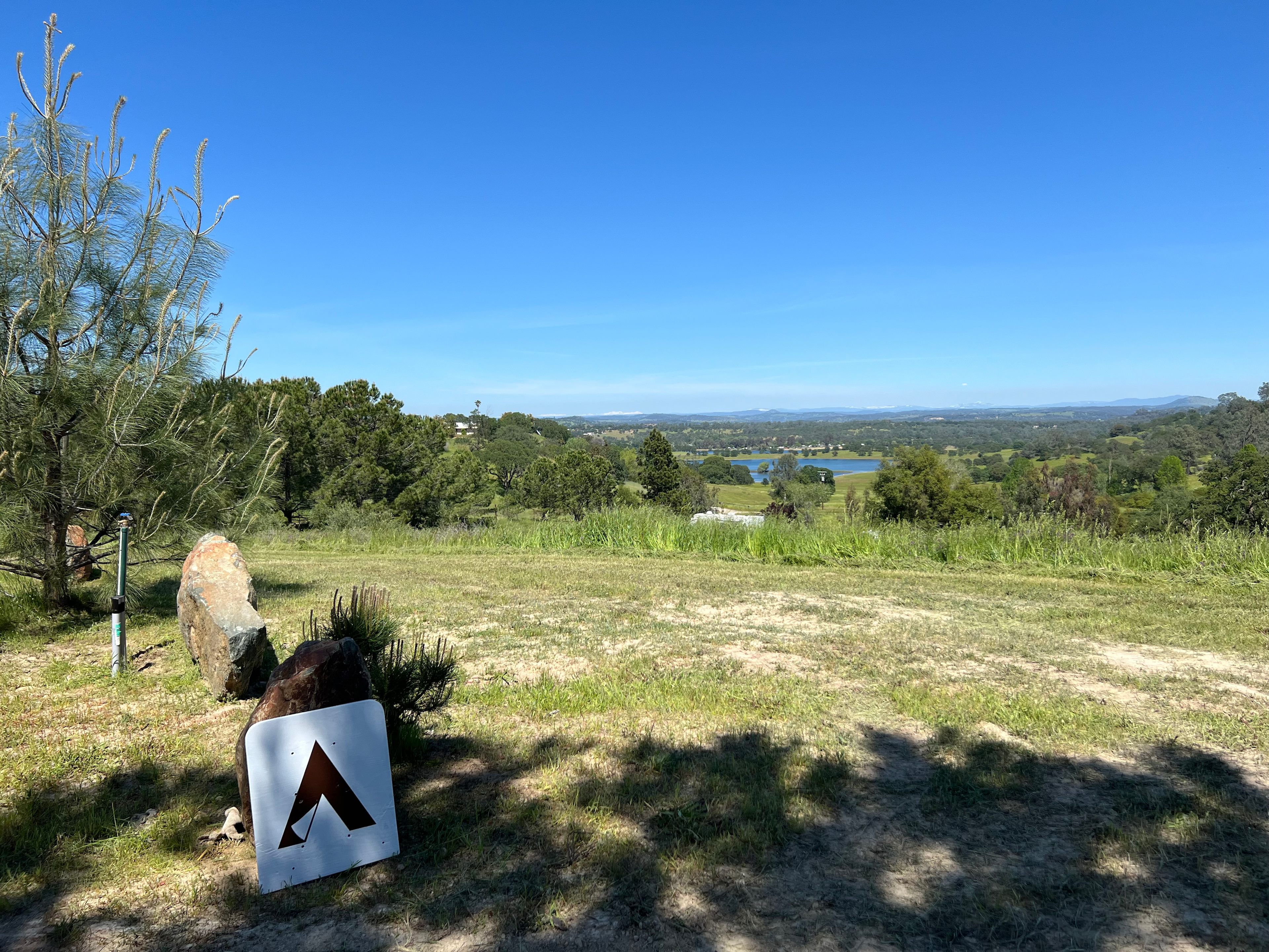 Lavanda Cresta Olive Ranch