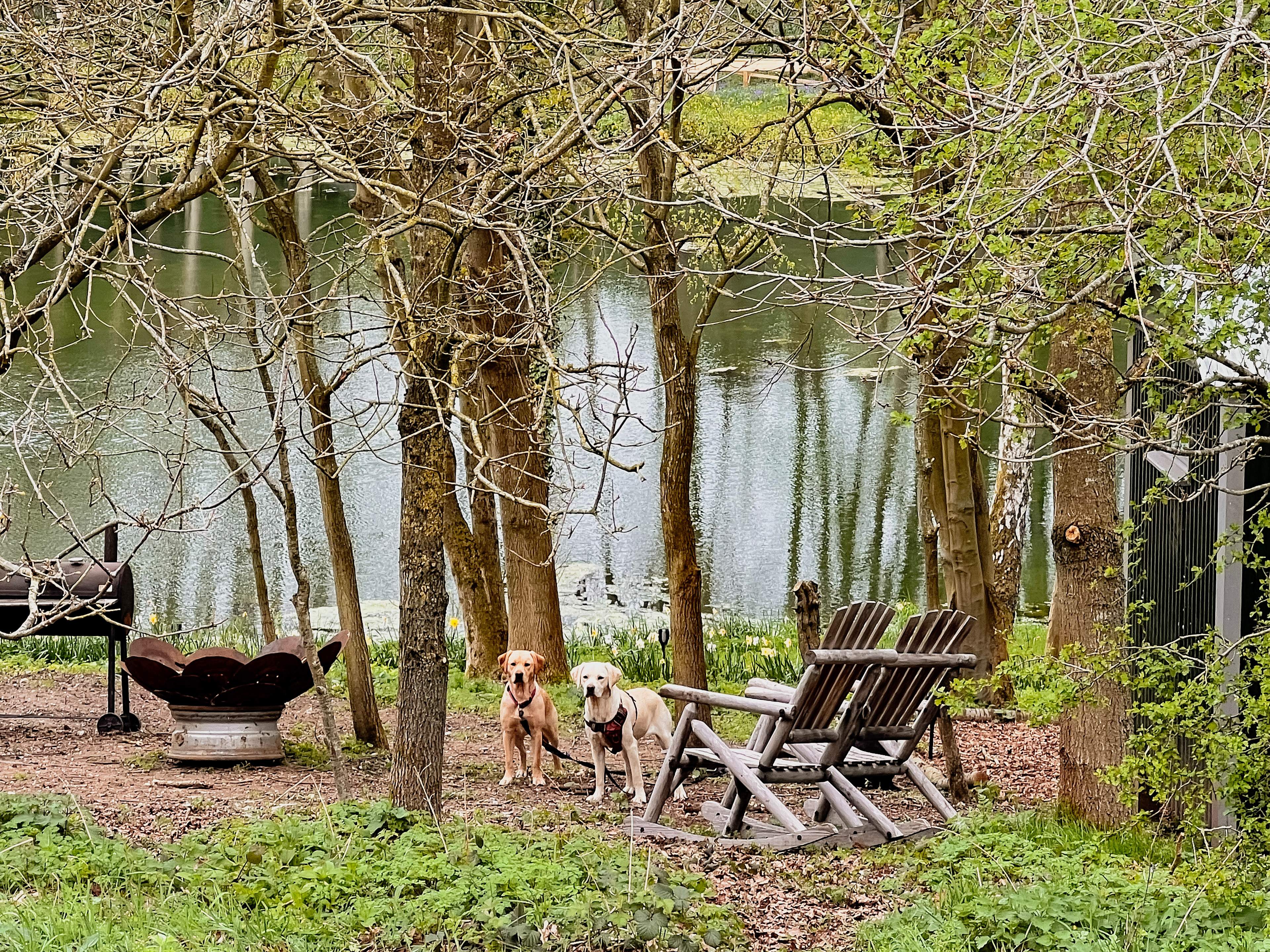 North Norfolk Camping & Glamping