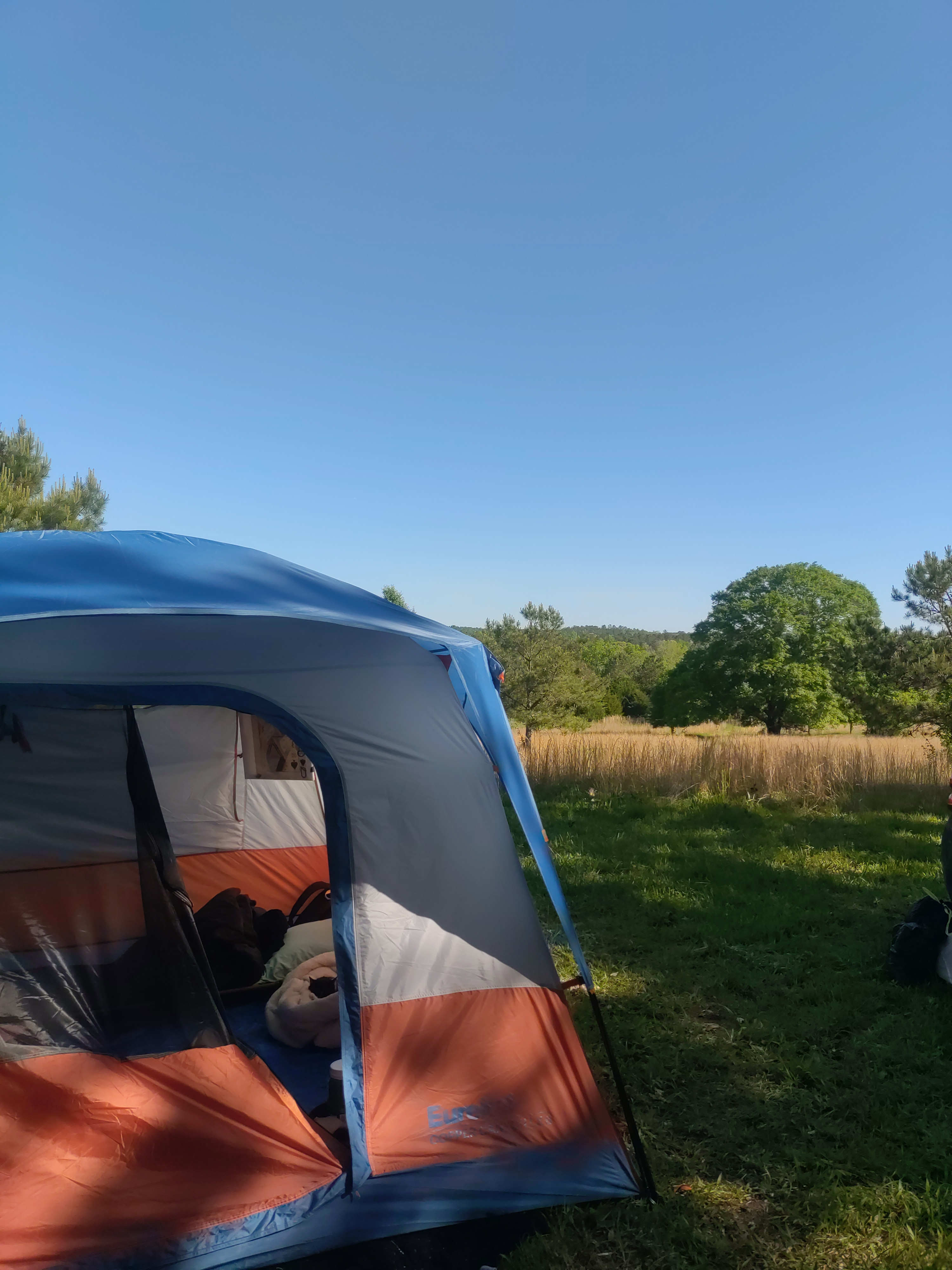 Camp Carousel