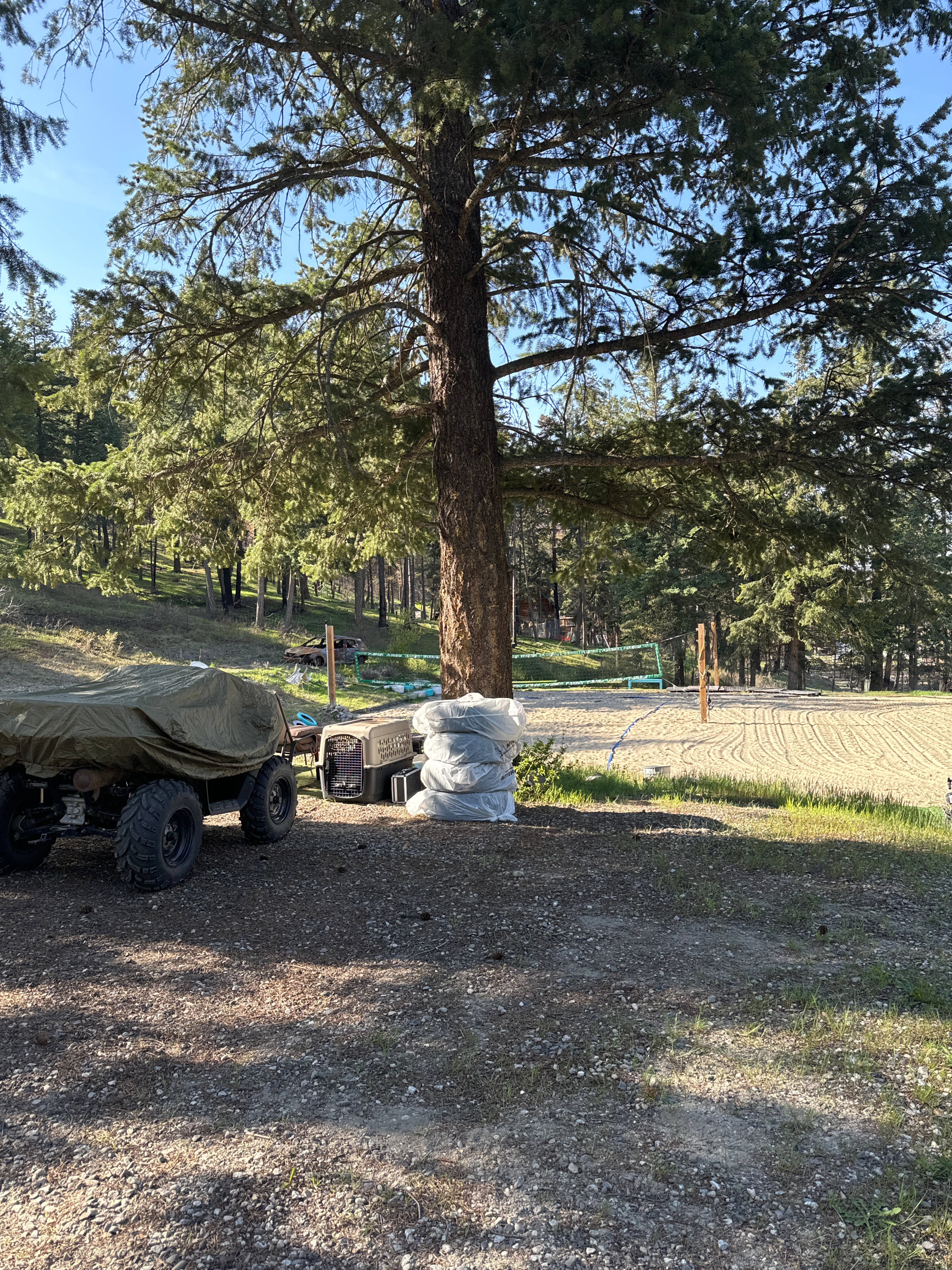 Fluffy Bunny Farms Camping