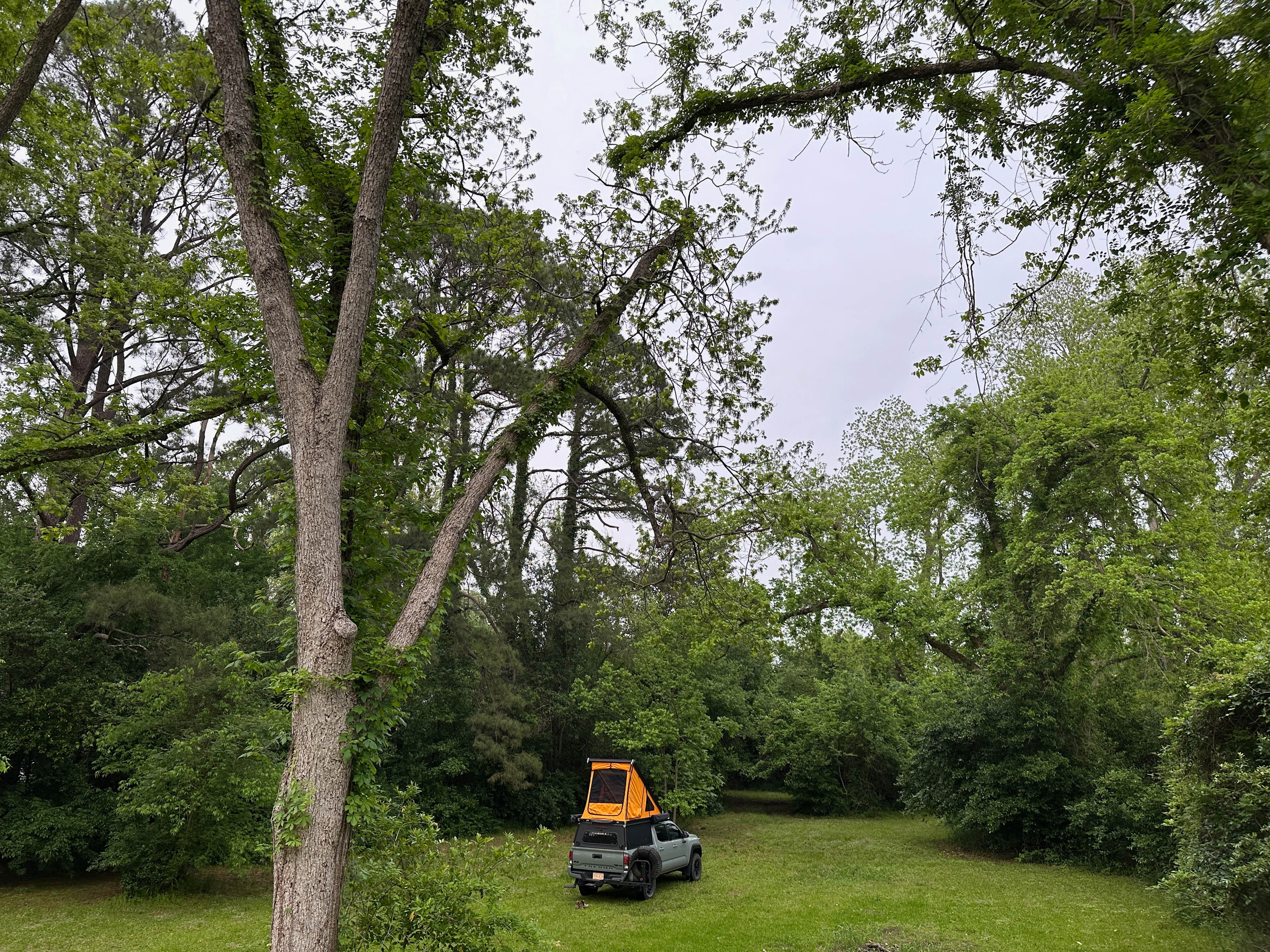 Camping area behind the historic home is very private