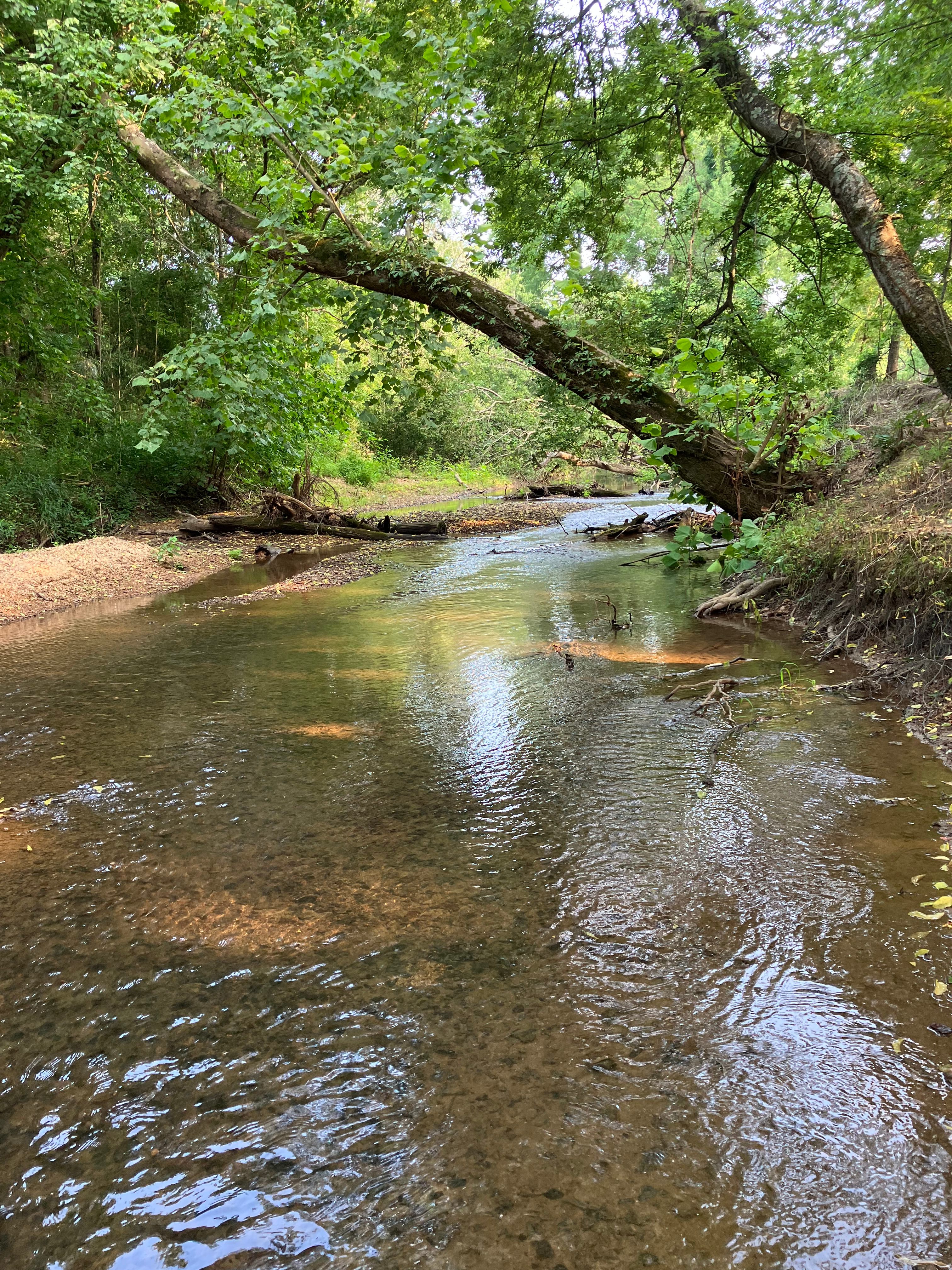 On the Creek Retreat