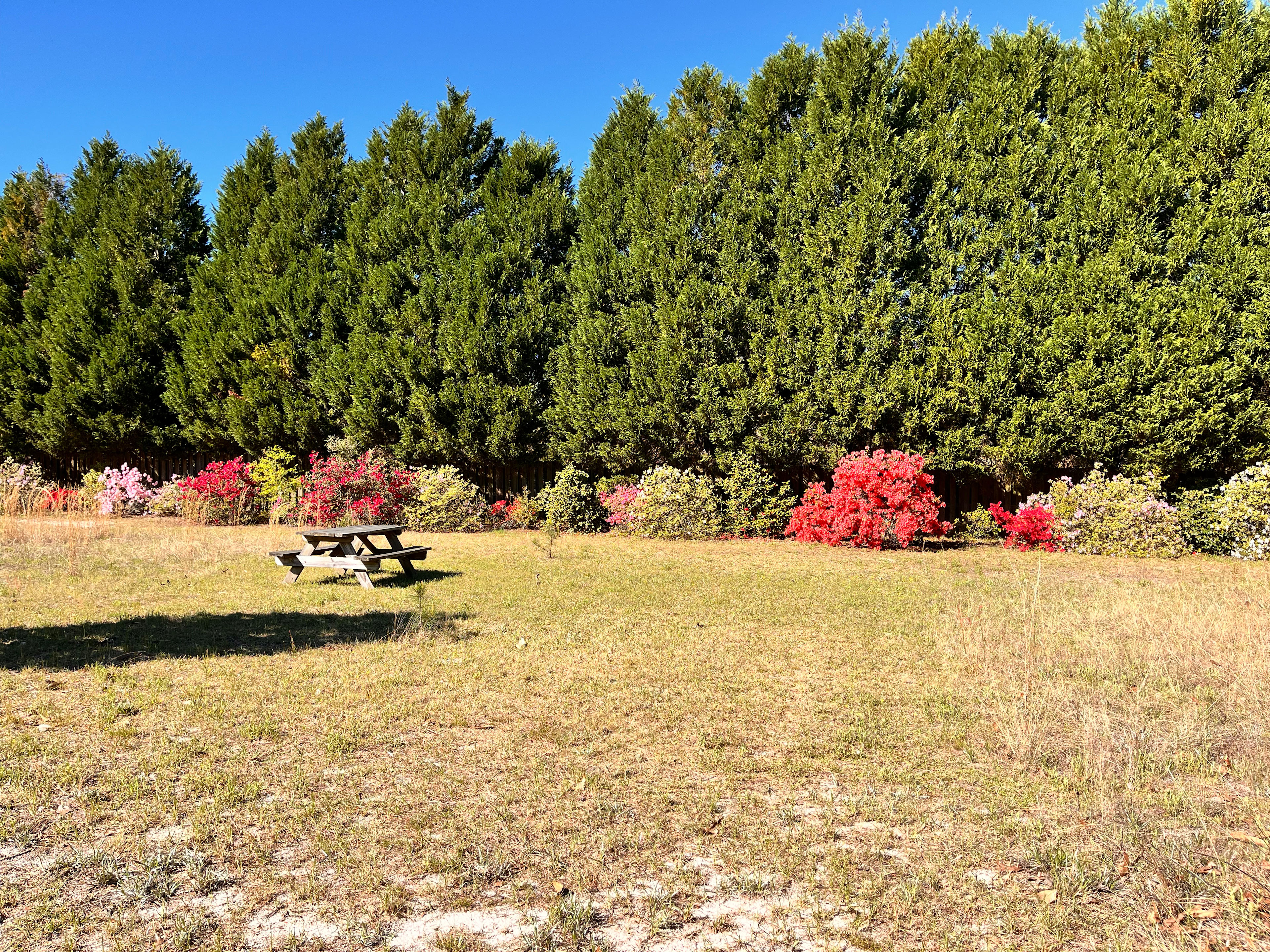 The Old Rooster Farm House