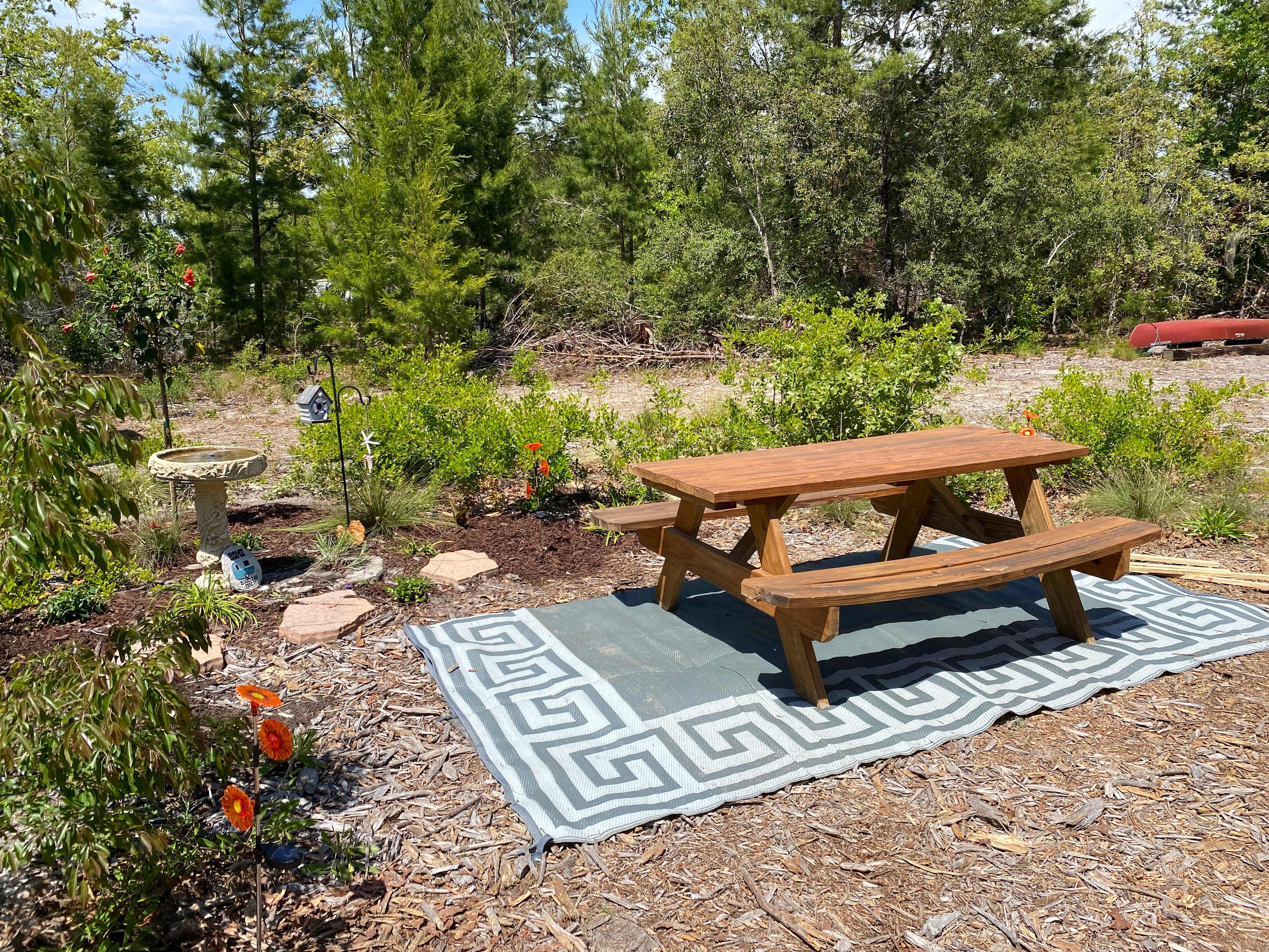This hummingbird garden is continually evolving…
Fill the birdbath and enjoy the hummingbirds that stop by! 🐦 