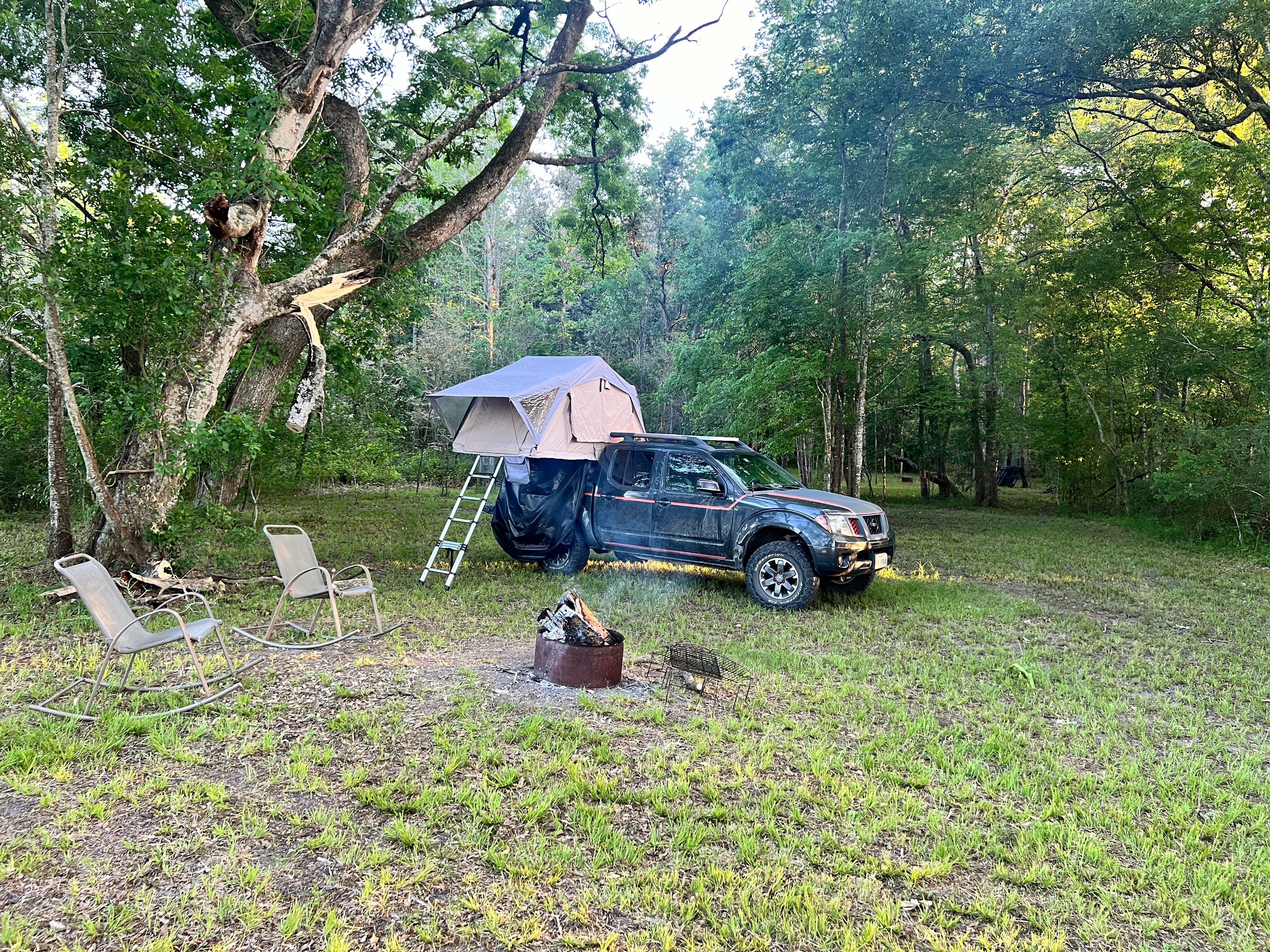 Ligneous Countryside Tent Camping
