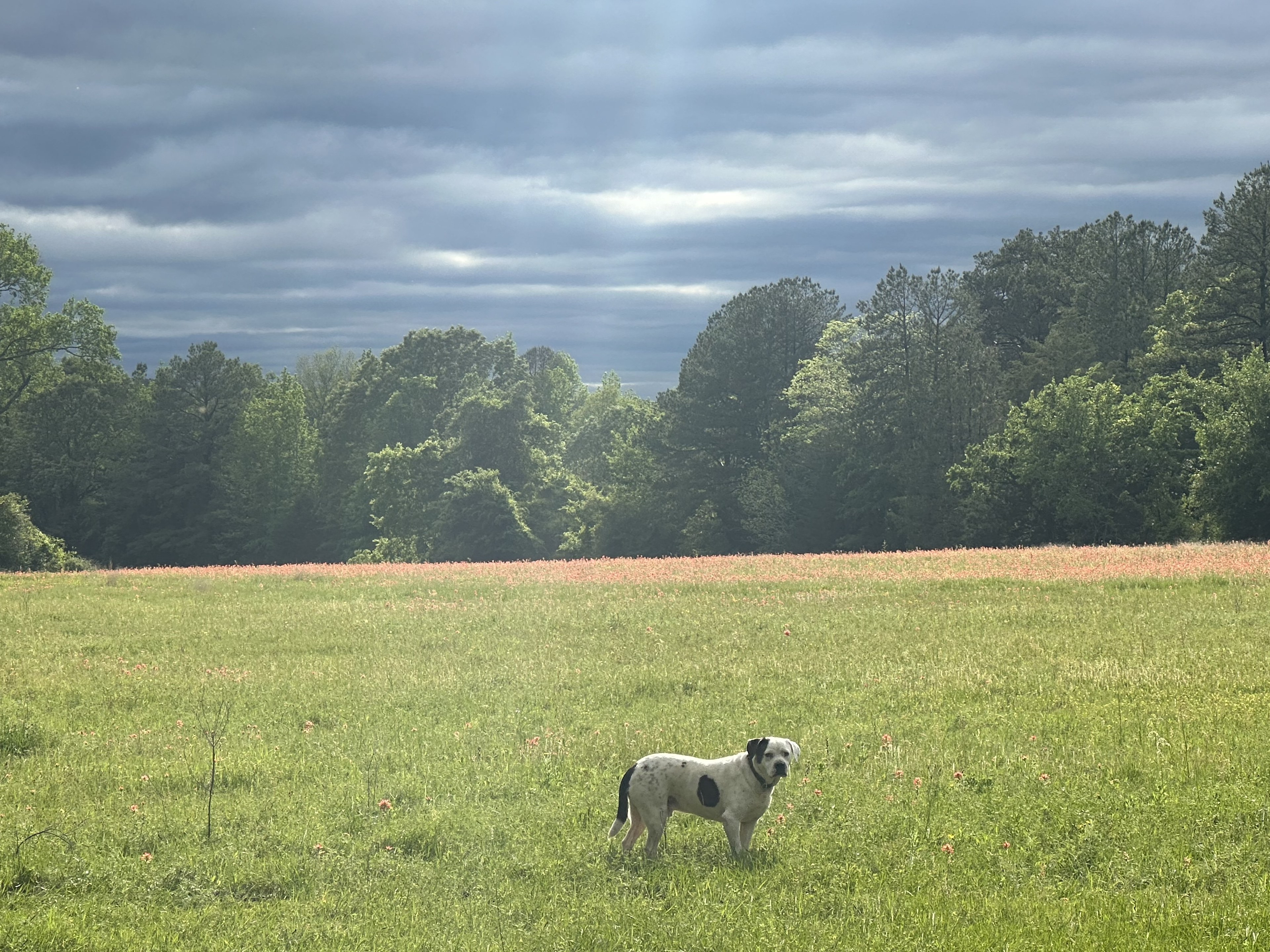The Ranch At Beulah