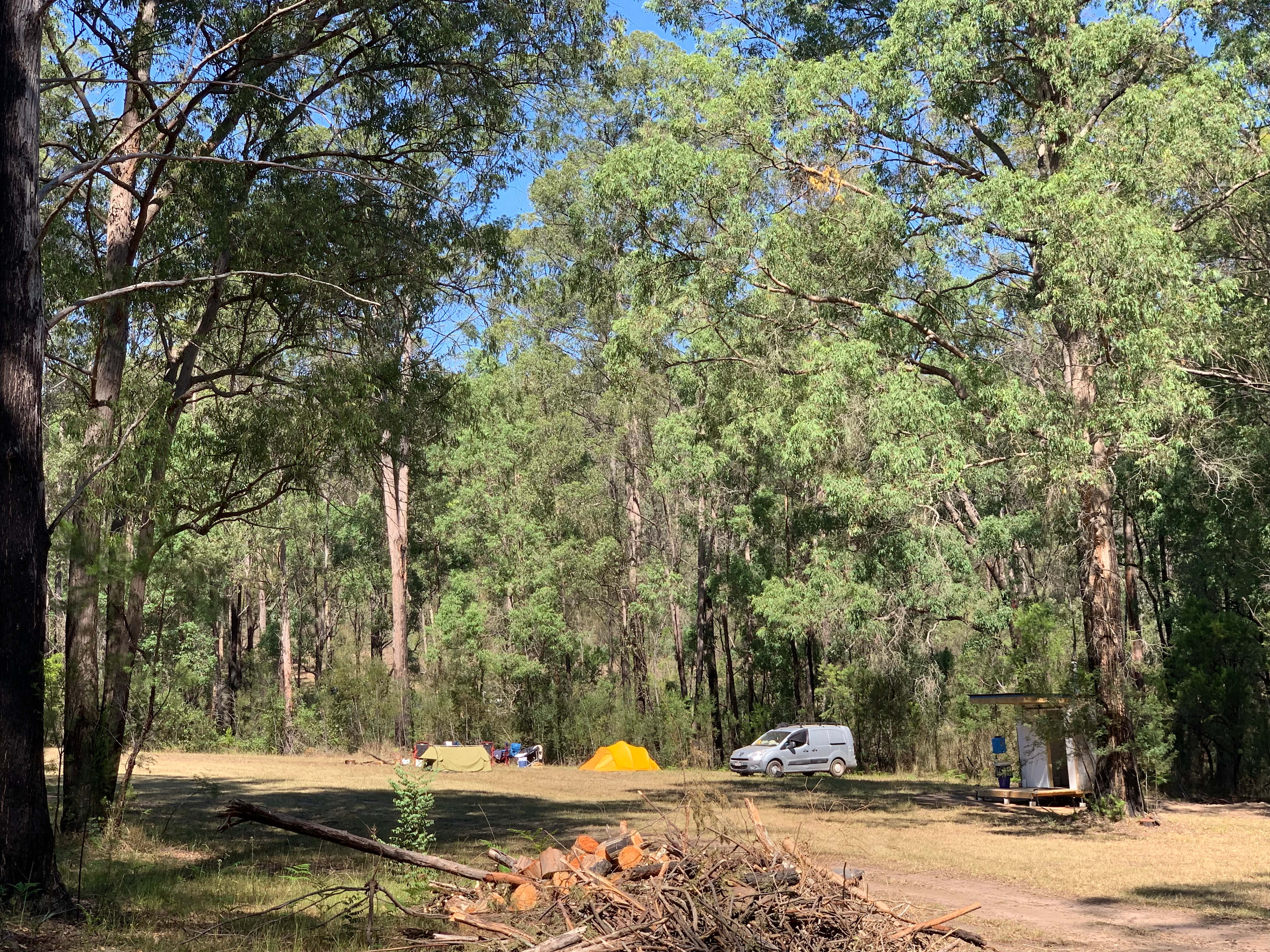 Wollombi Springs