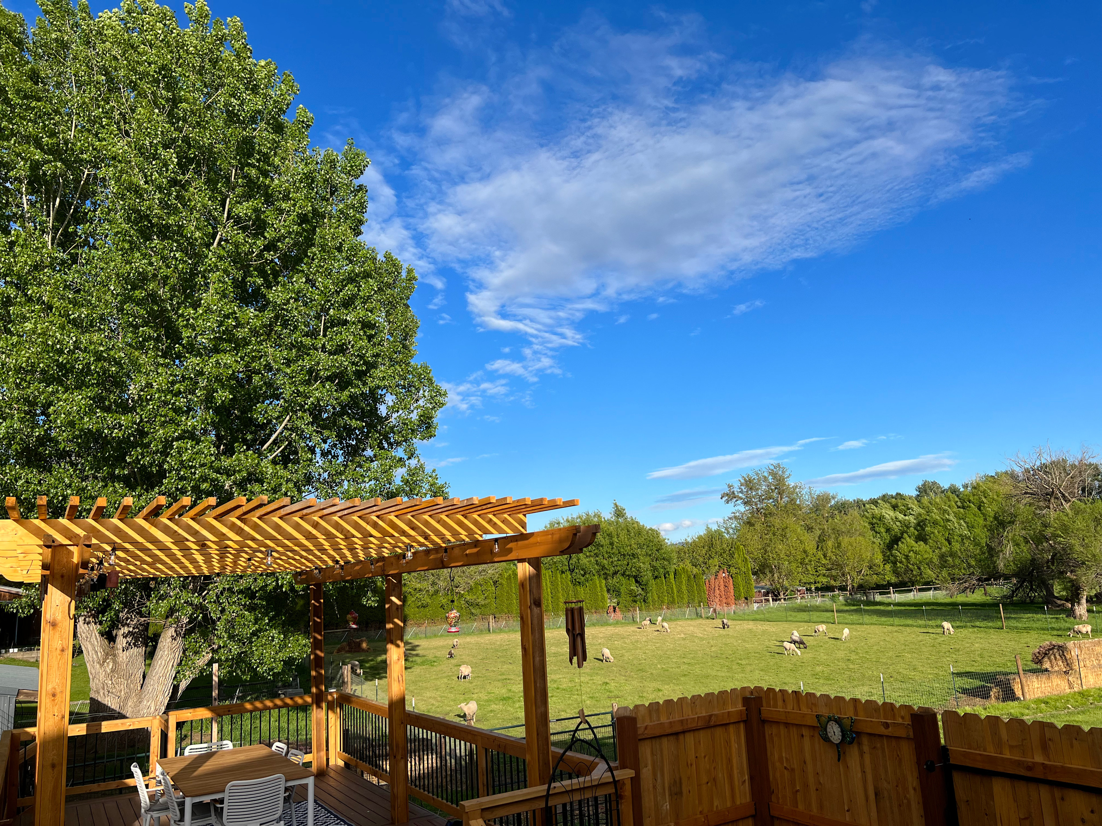 Kaizen Roots Farm
