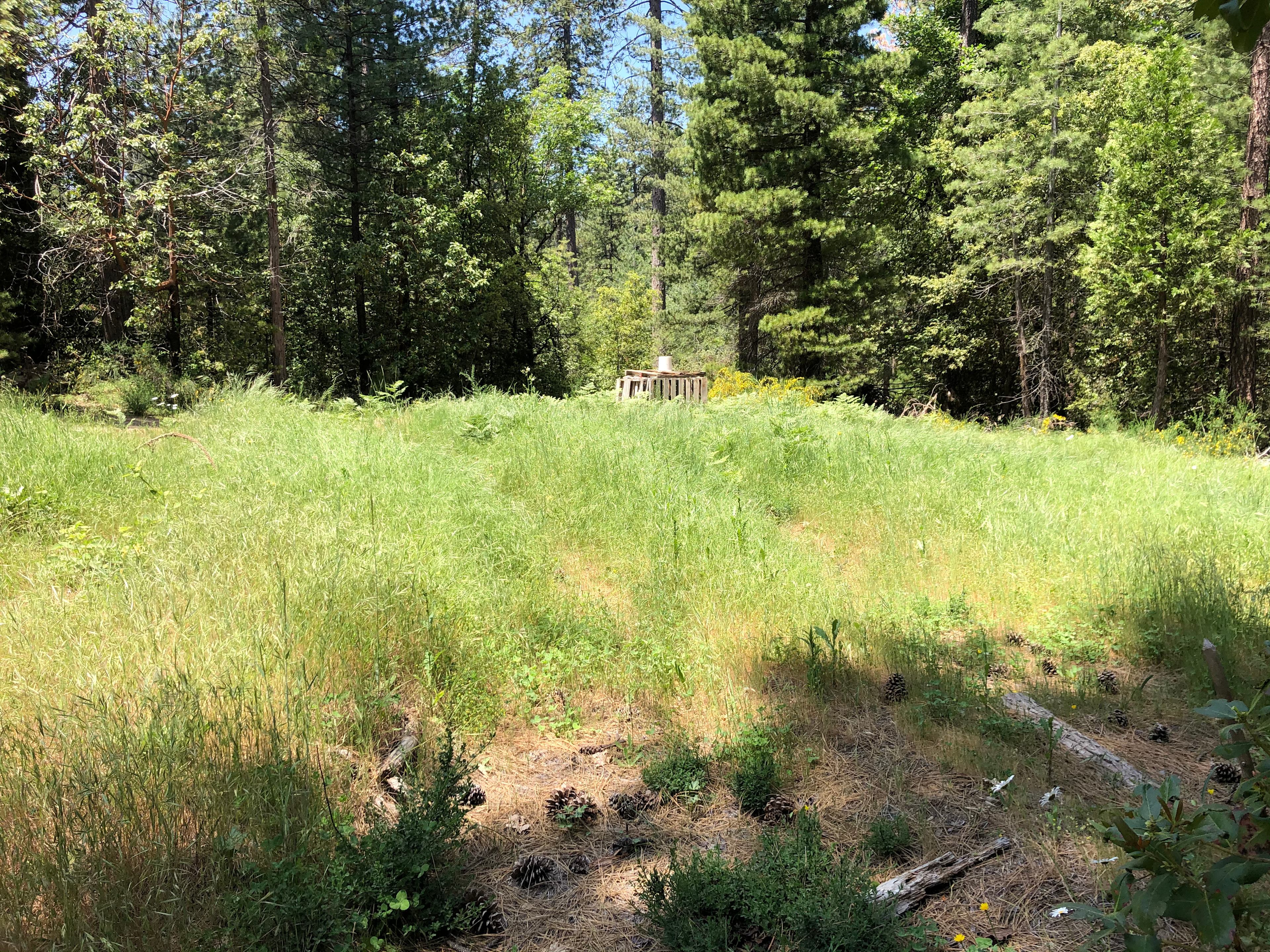 Rock Creek Sanctuary