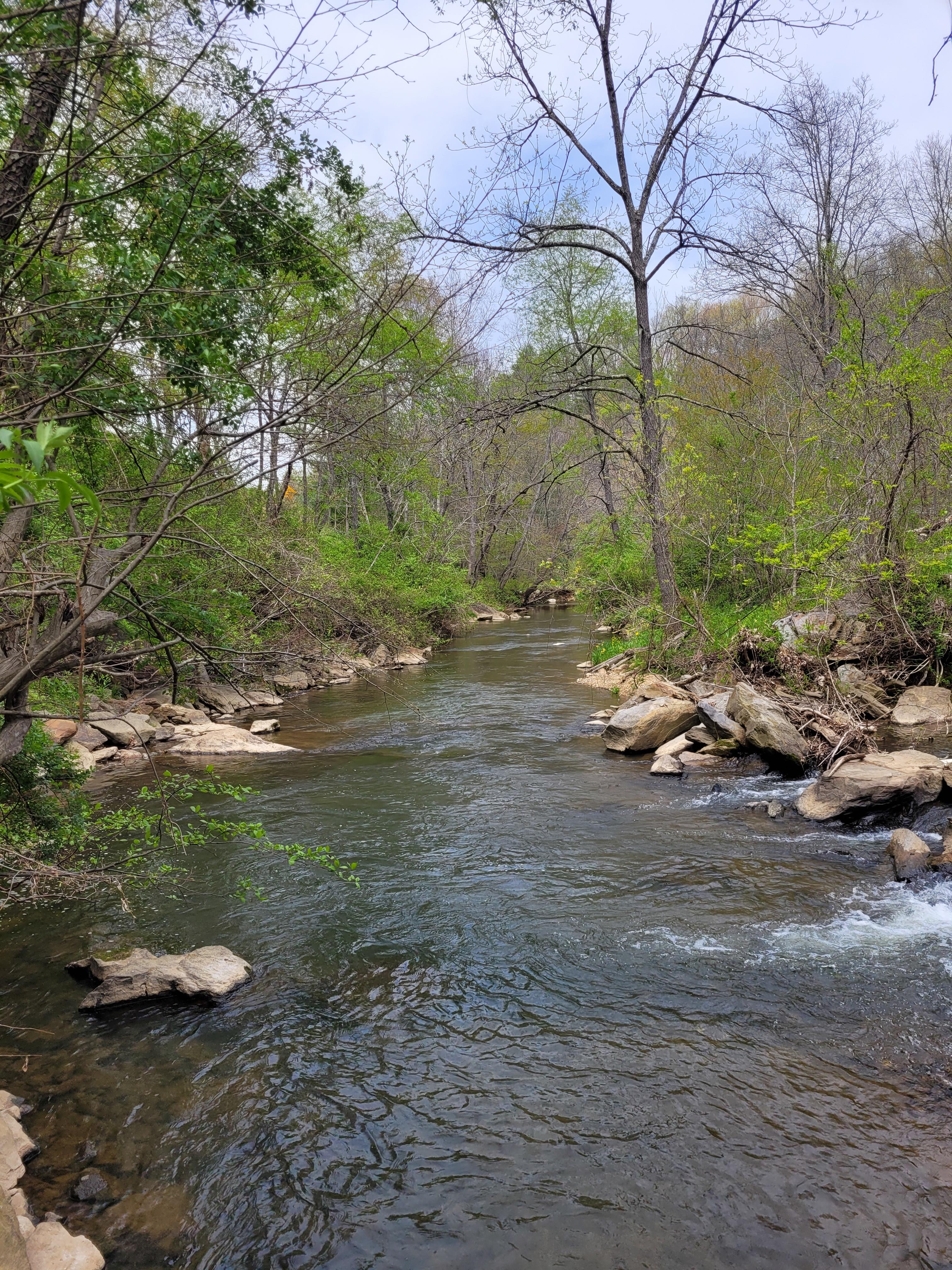 Hippie Hollow