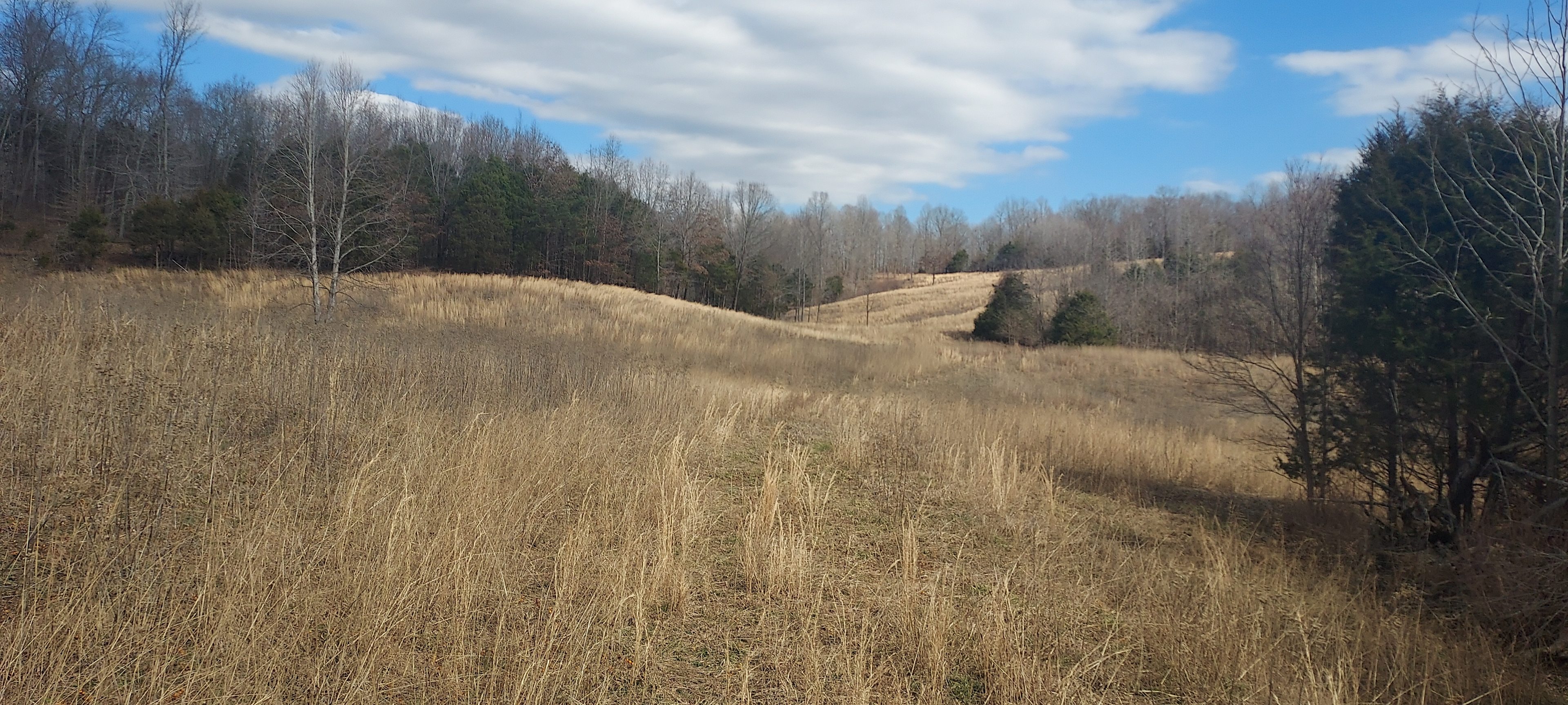 Shepherd's Holler