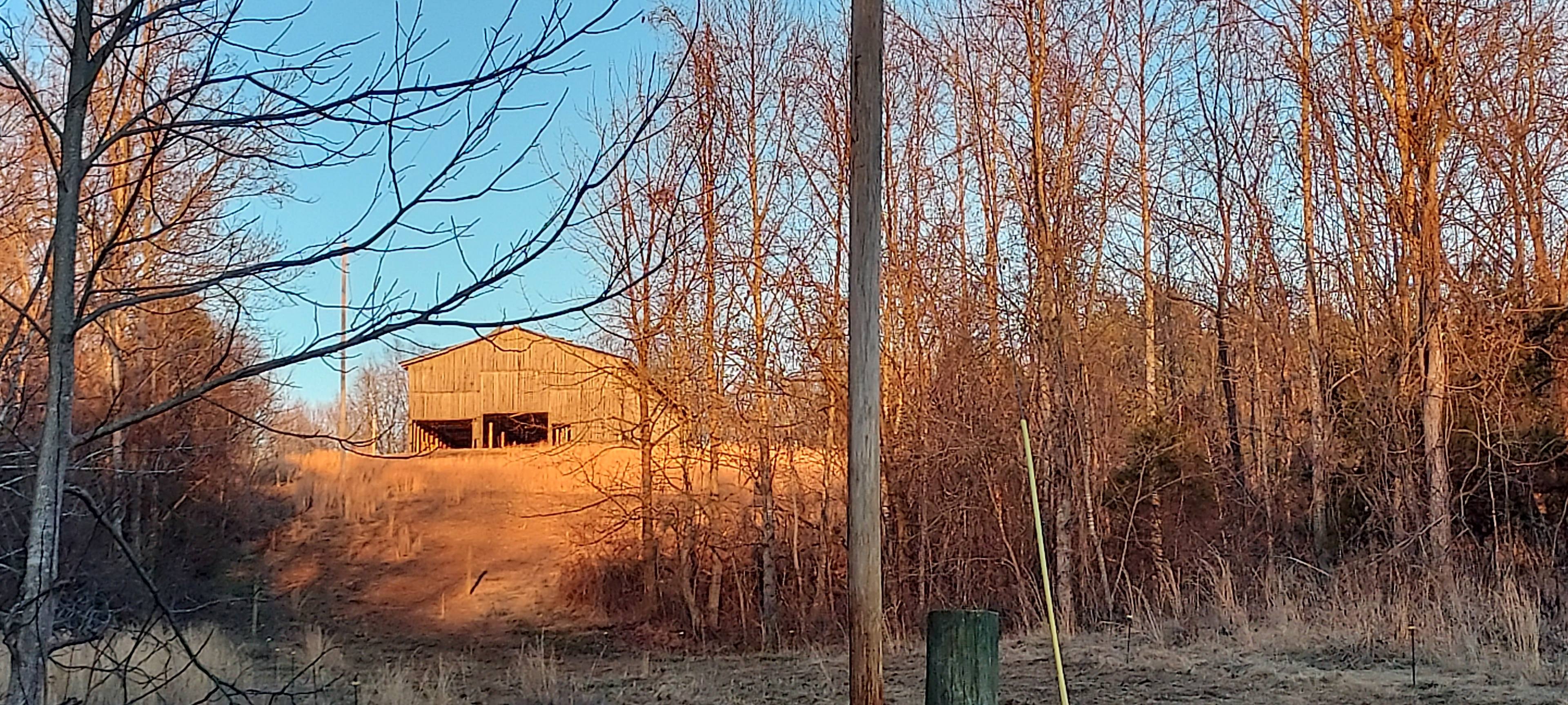 Shepherd's Holler
