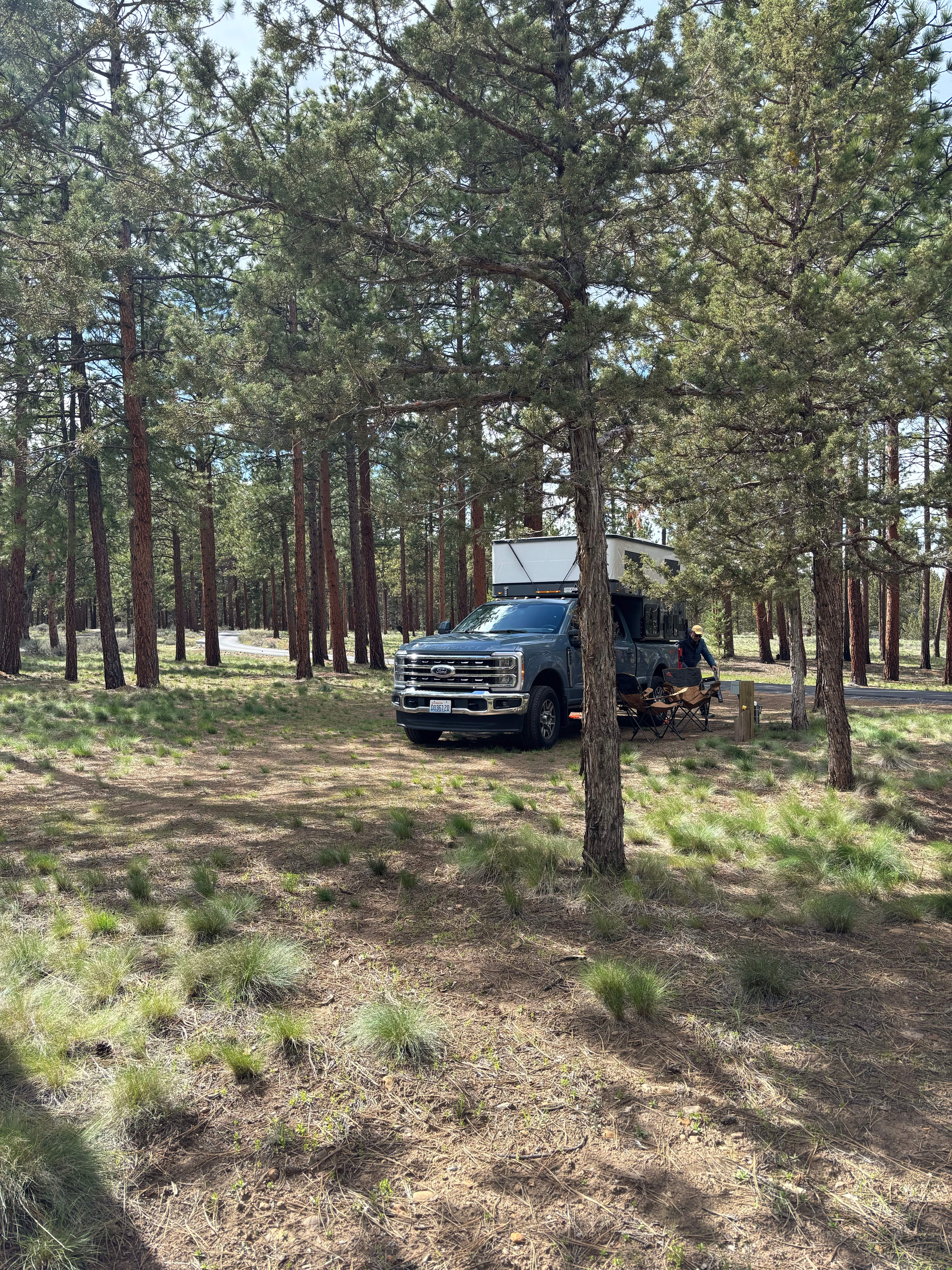Trout Pines Camping