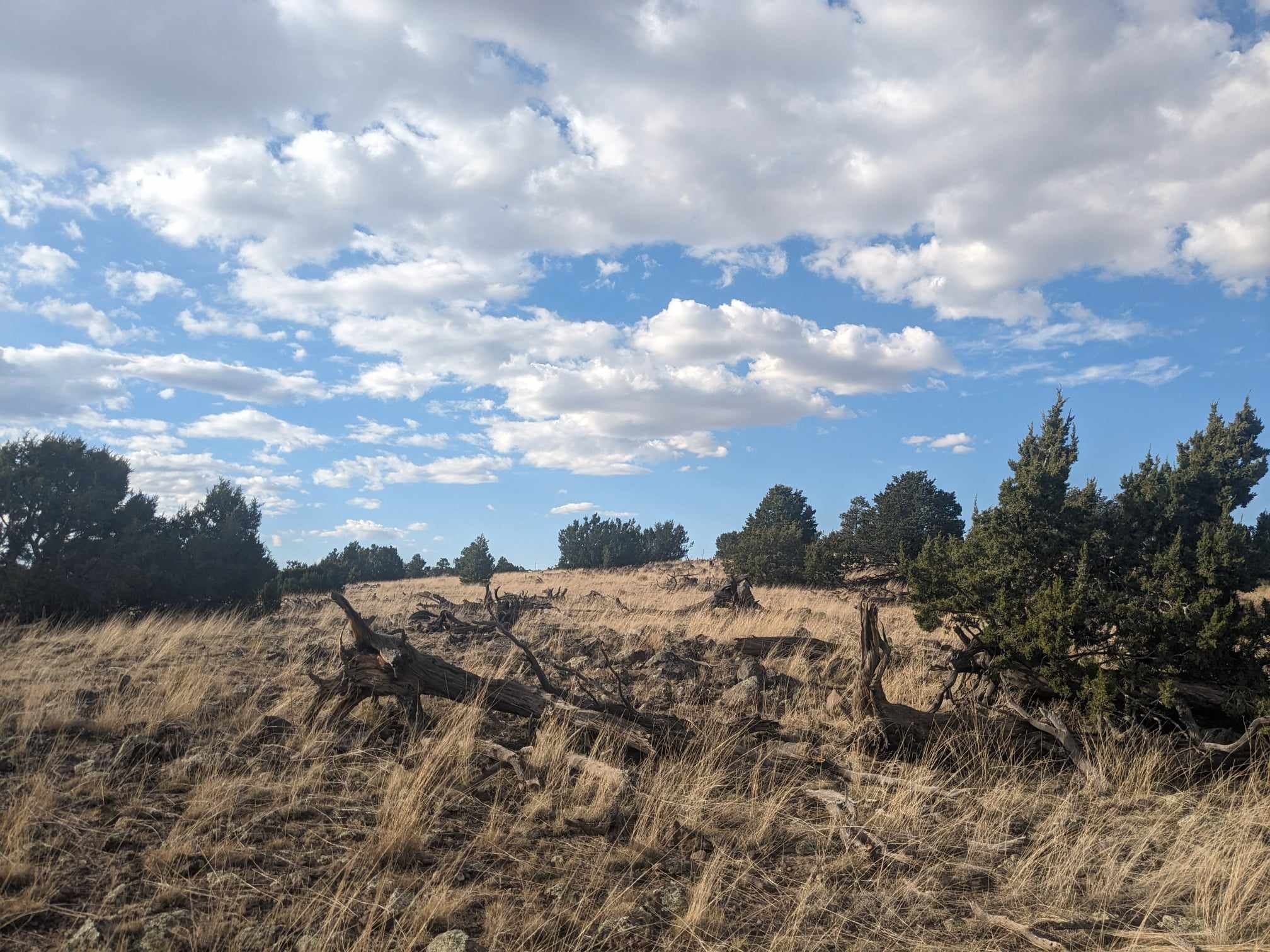 Hills of High Country